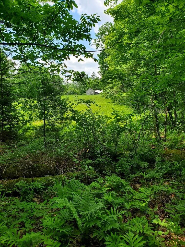 main property photo 123