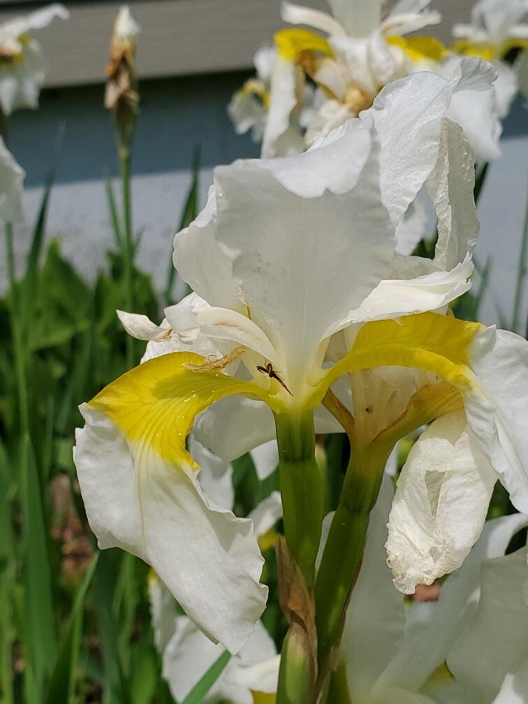 main property photo 96