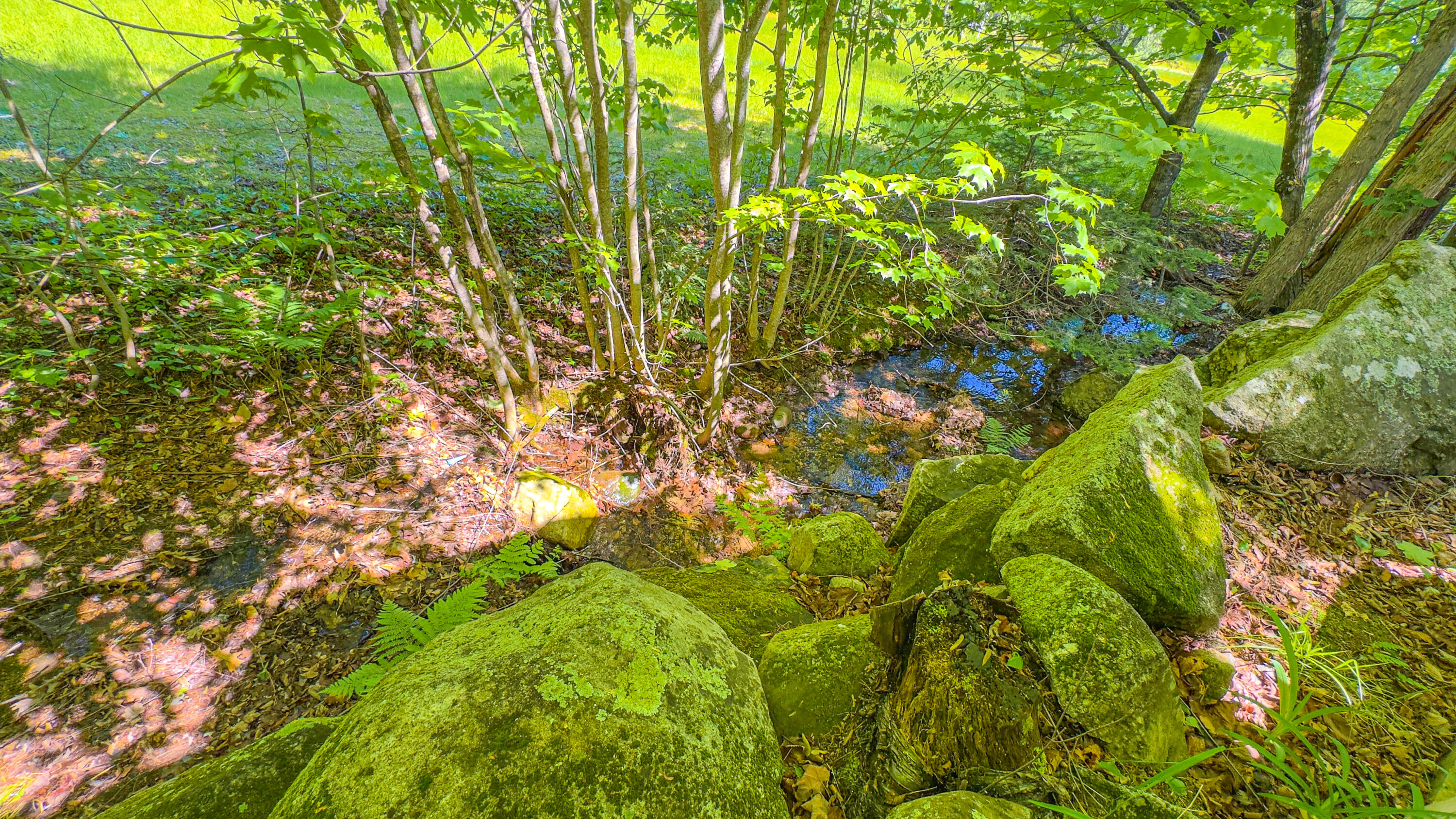 main property photo 97
