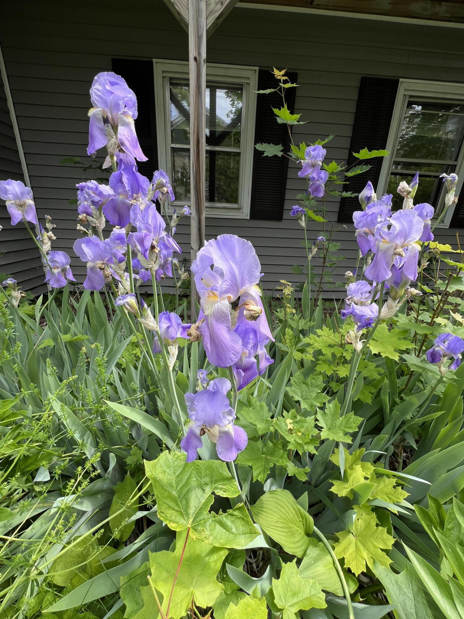 main property photo 11
