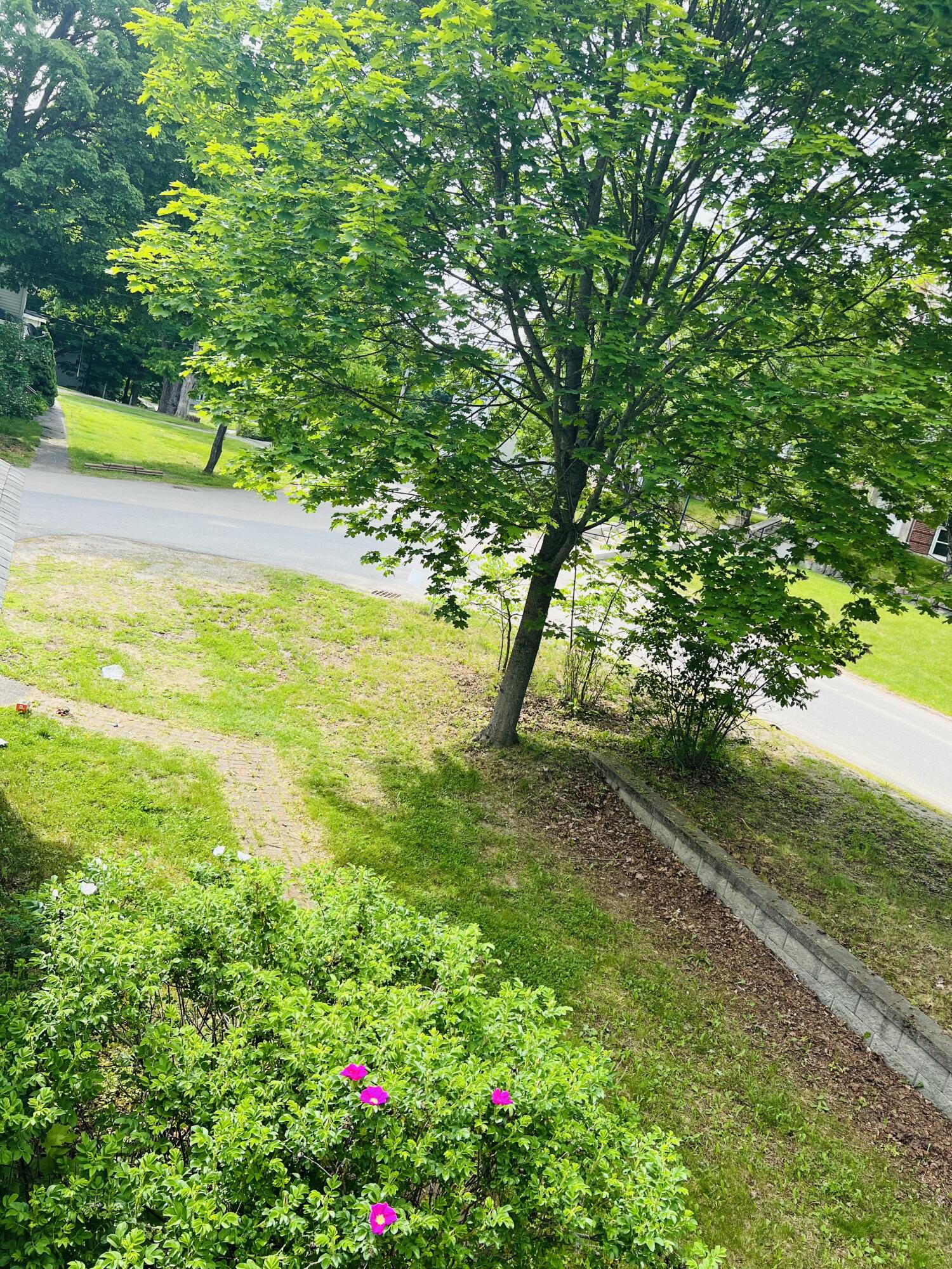 main property photo 54