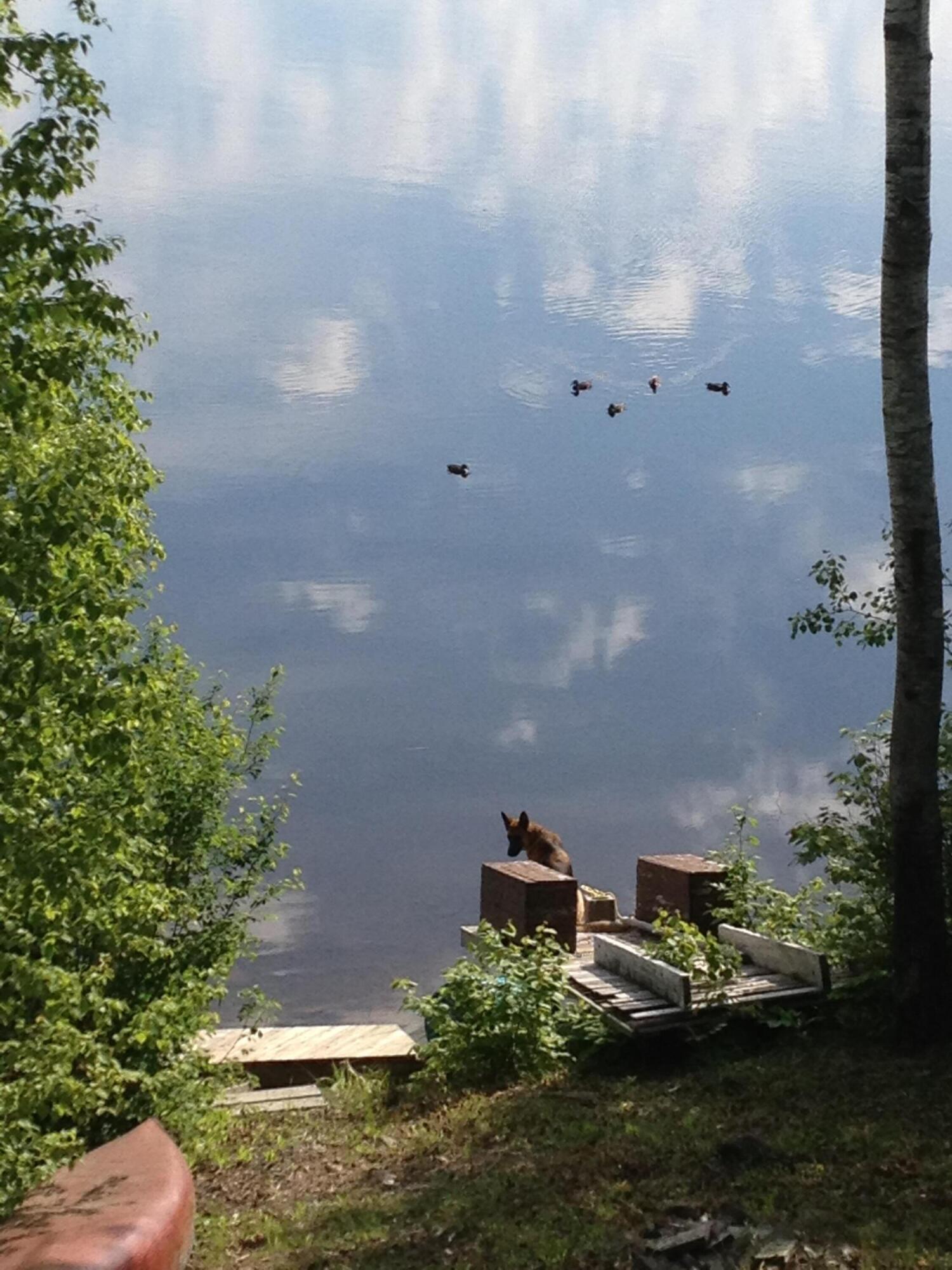 main property photo 20