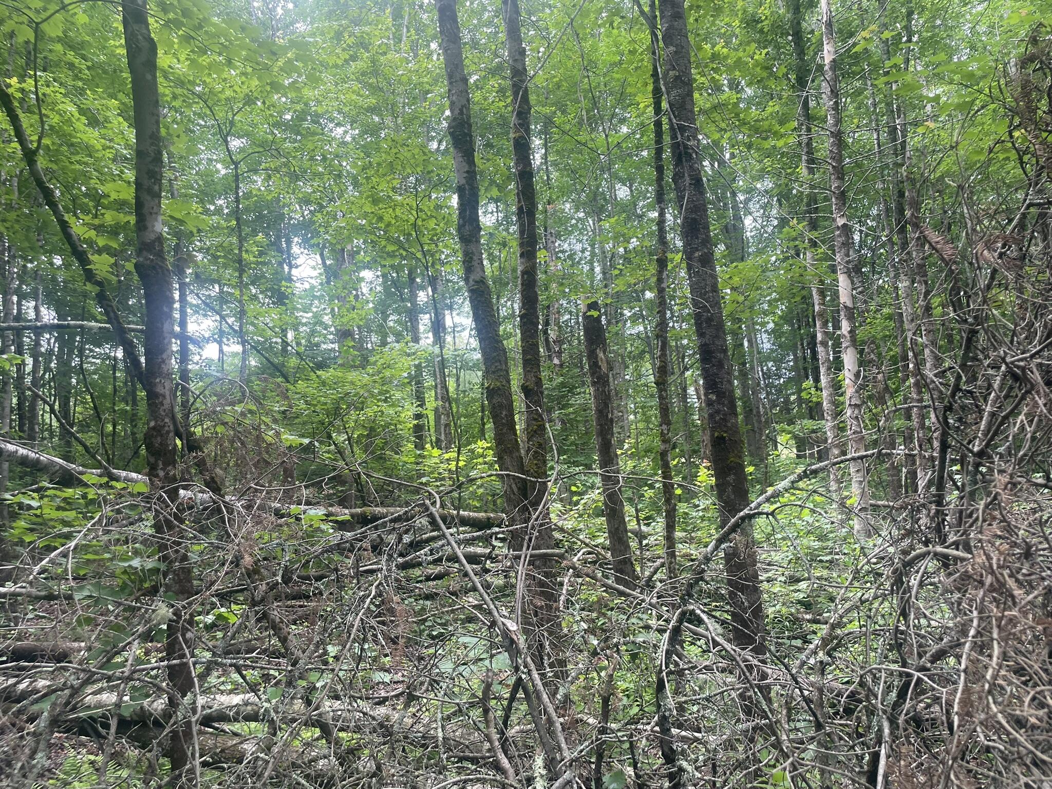 main property photo 109