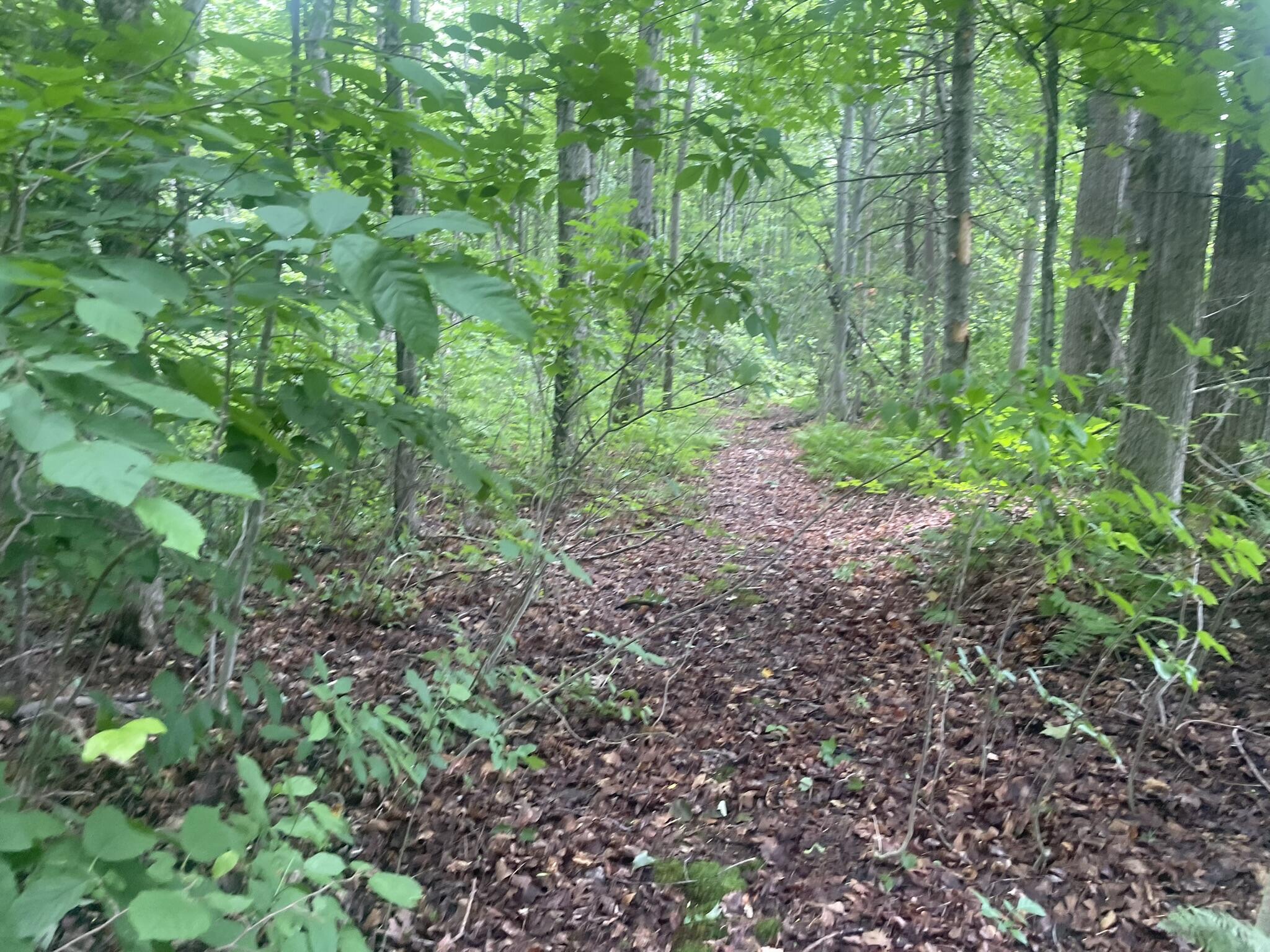 main property photo 126