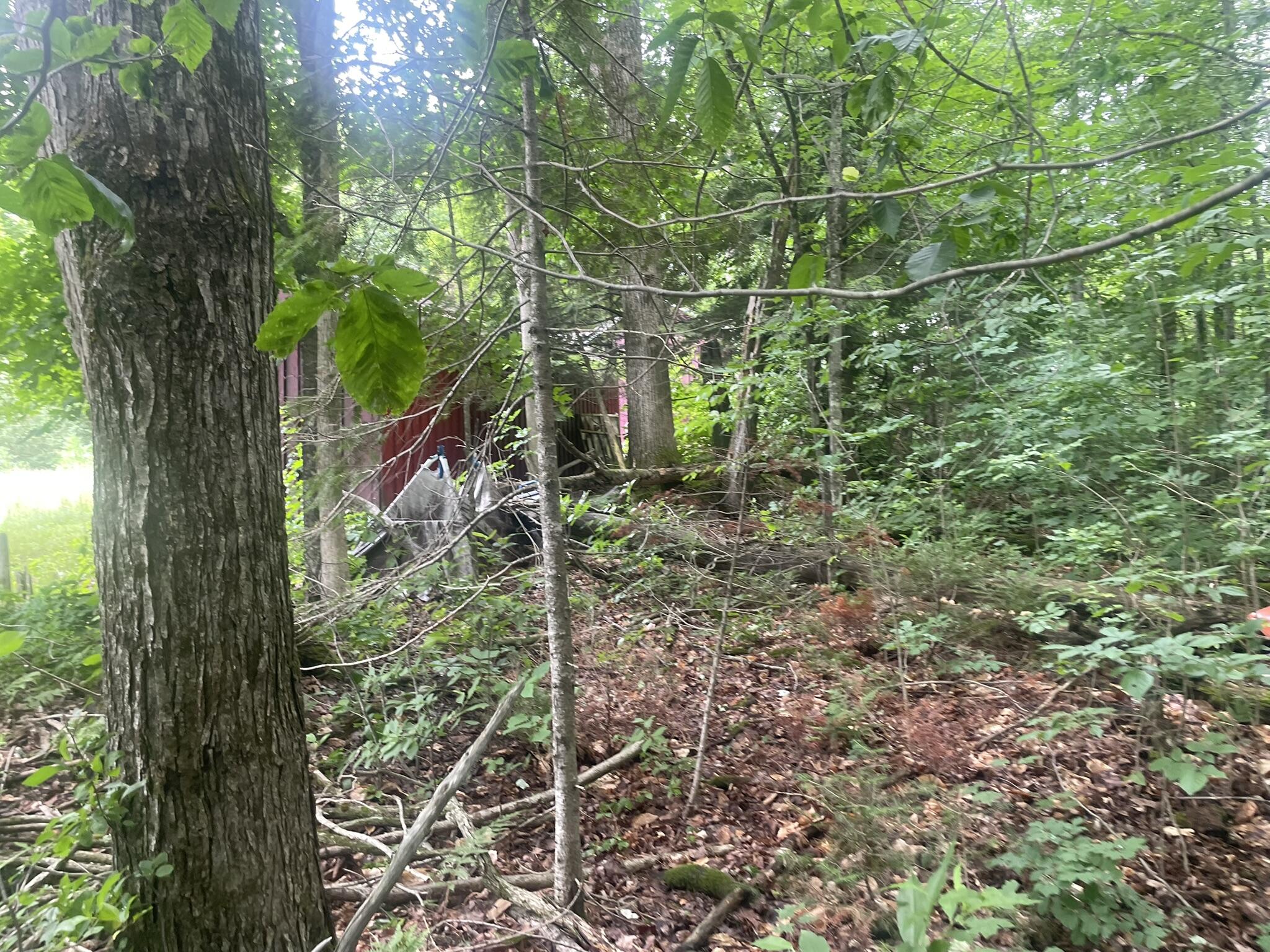 main property photo 127