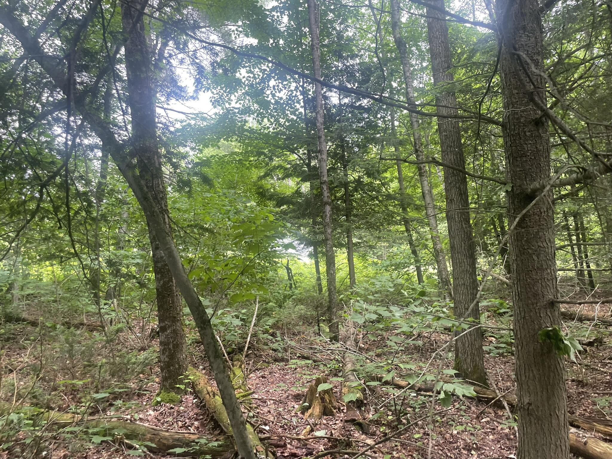 main property photo 130