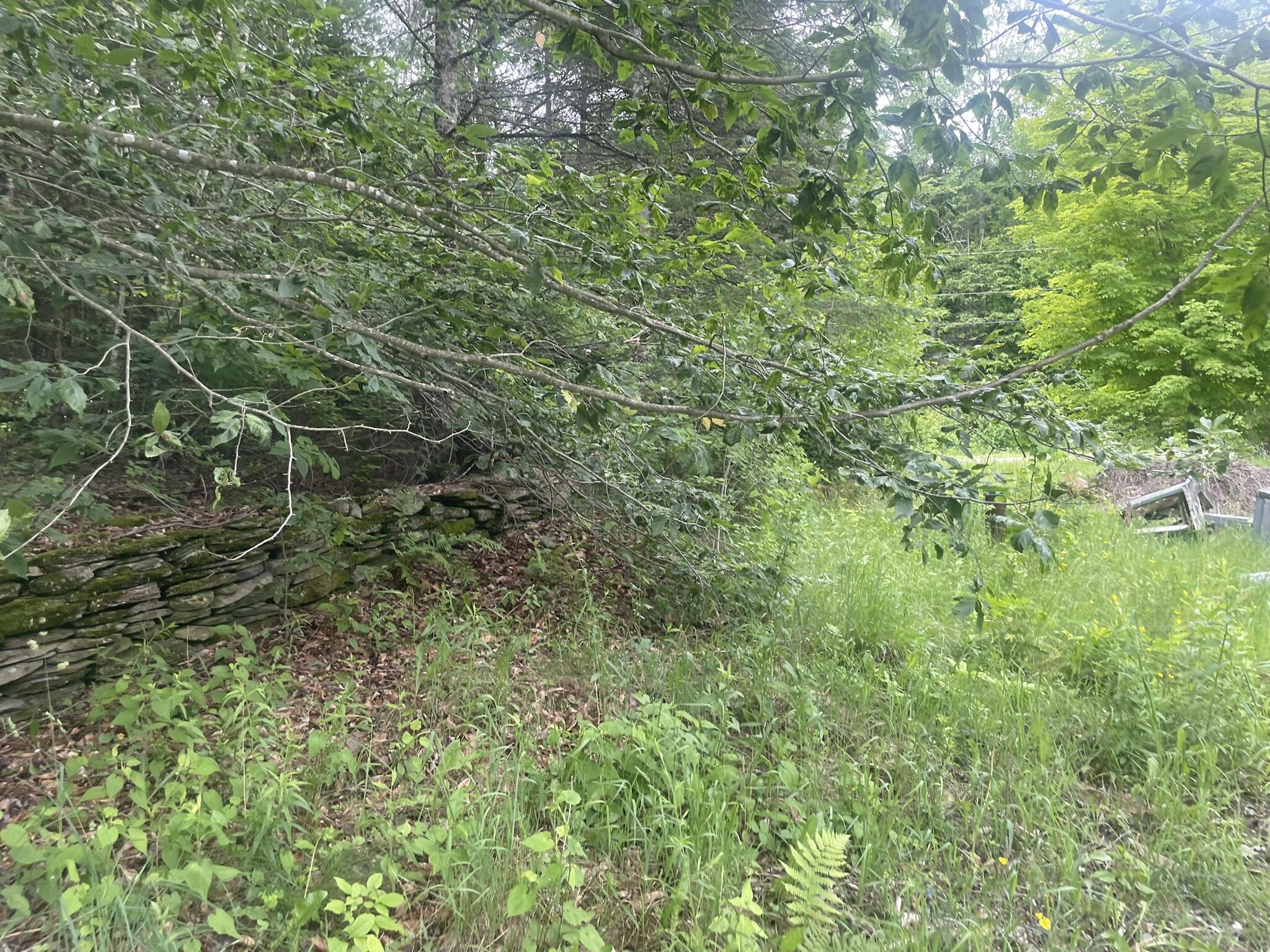 main property photo 144