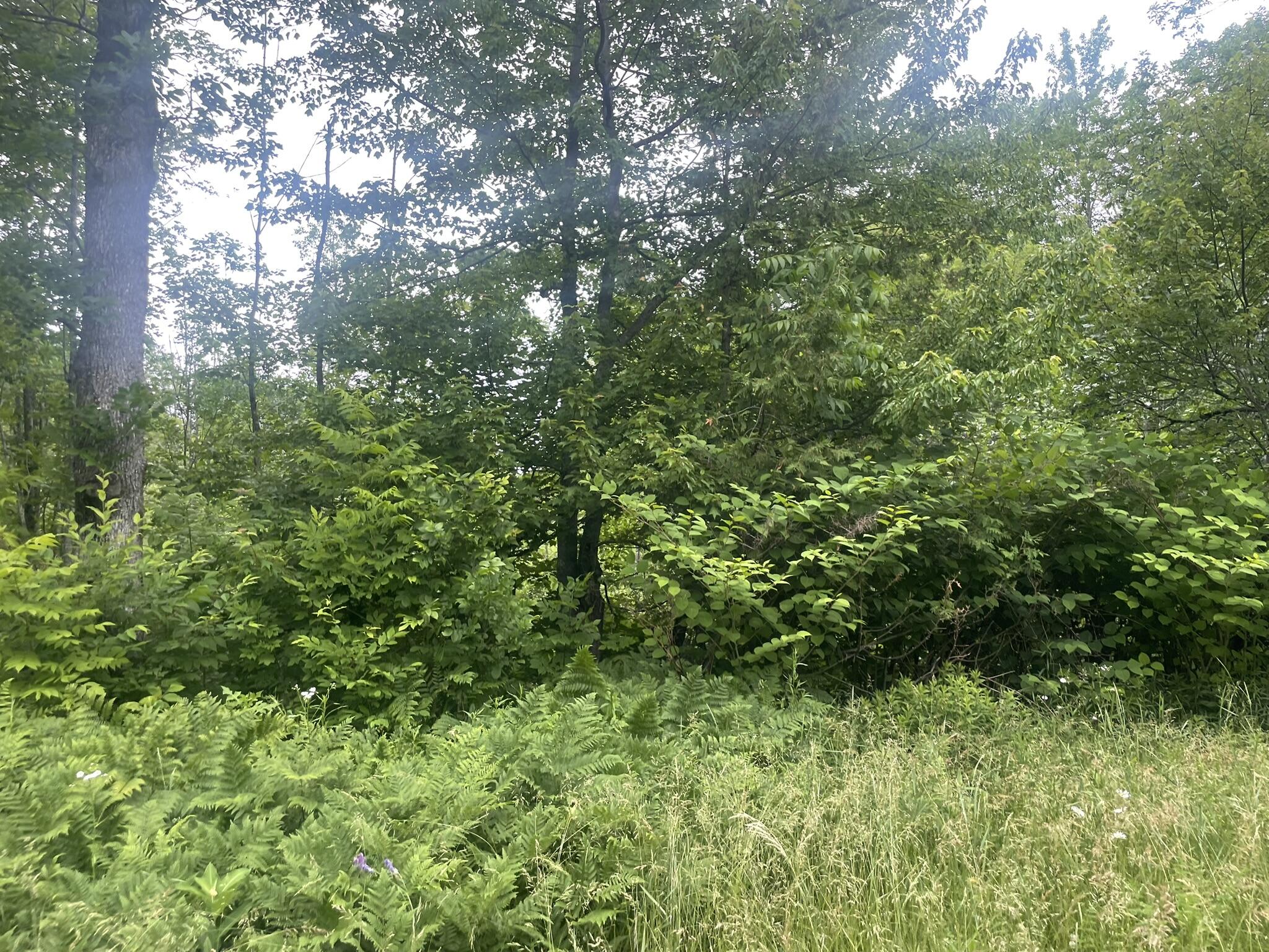 main property photo 157