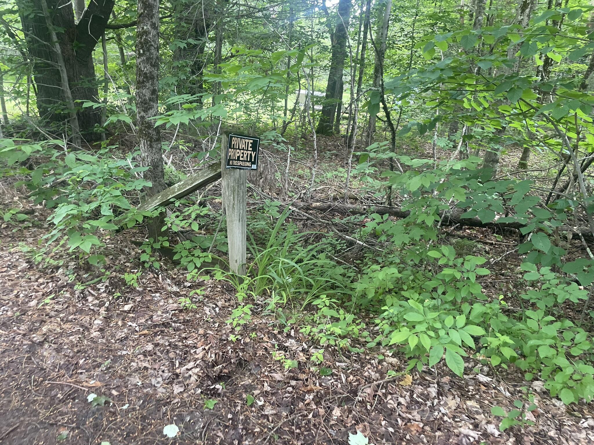 main property photo 165