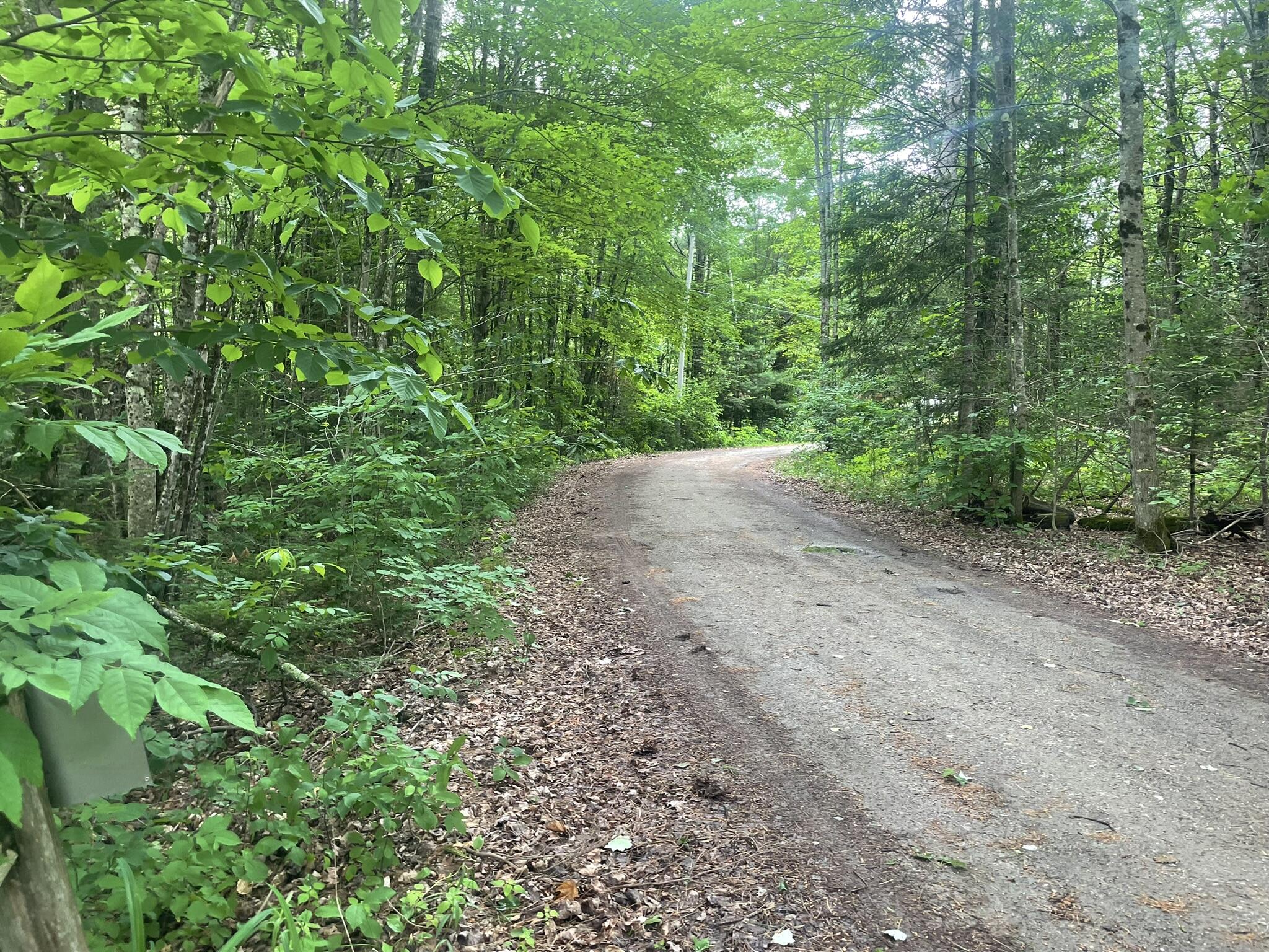 main property photo 166