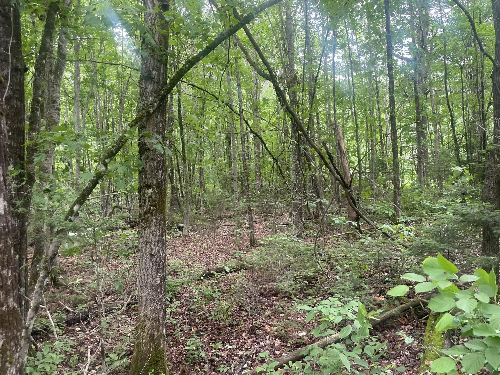 main property photo 92
