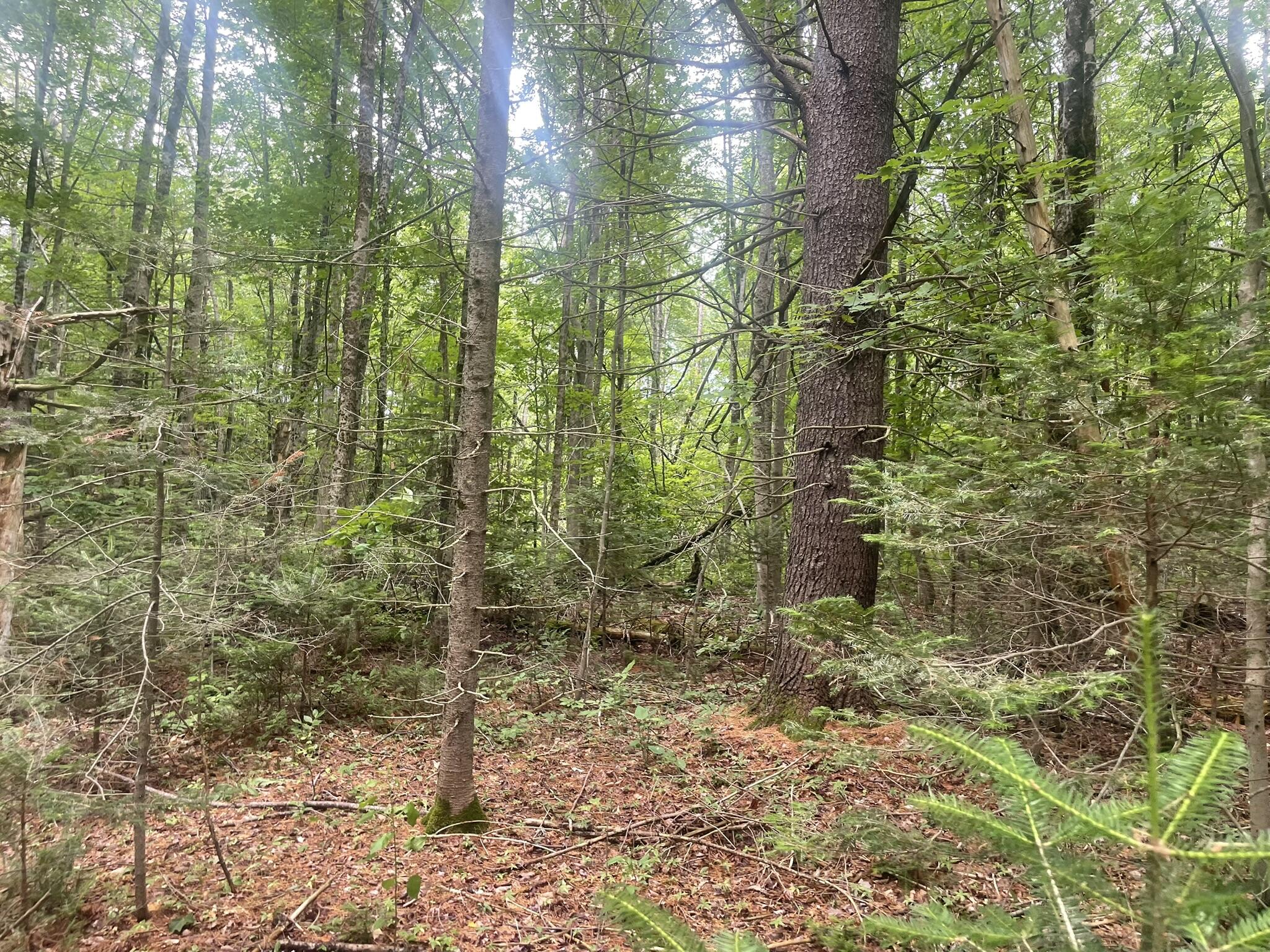 main property photo 94