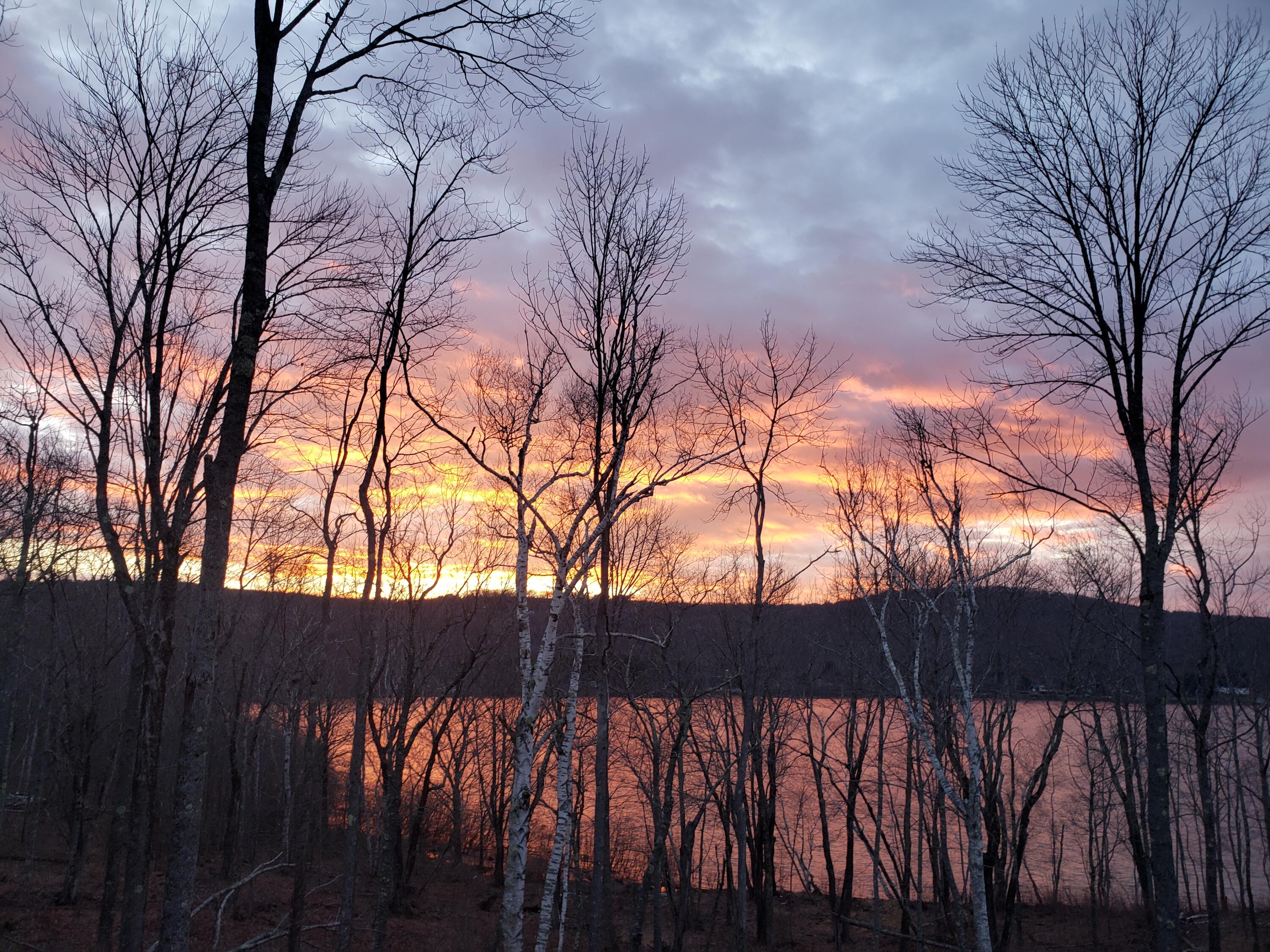 main property photo 62