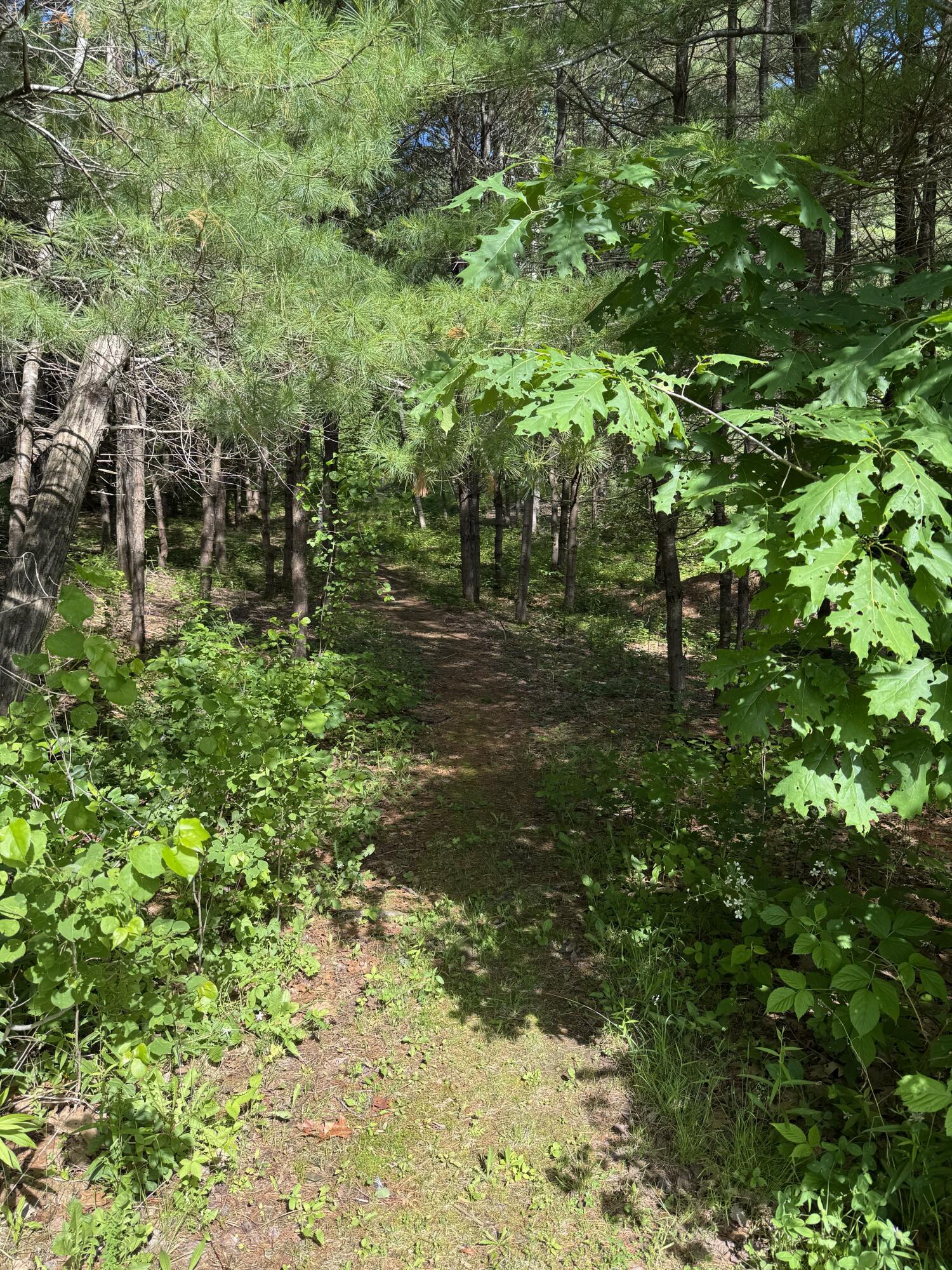 main property photo 89