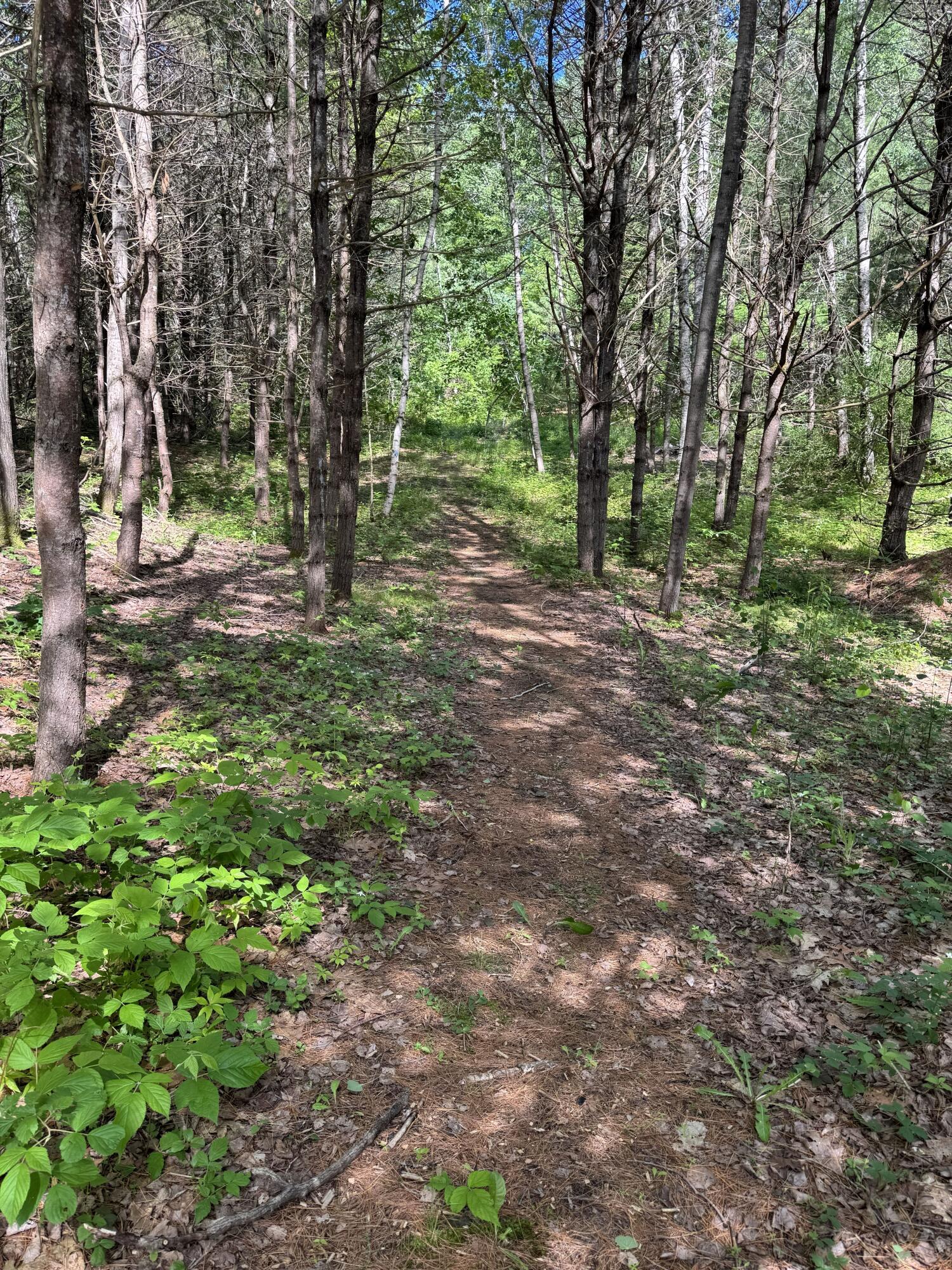 main property photo 90