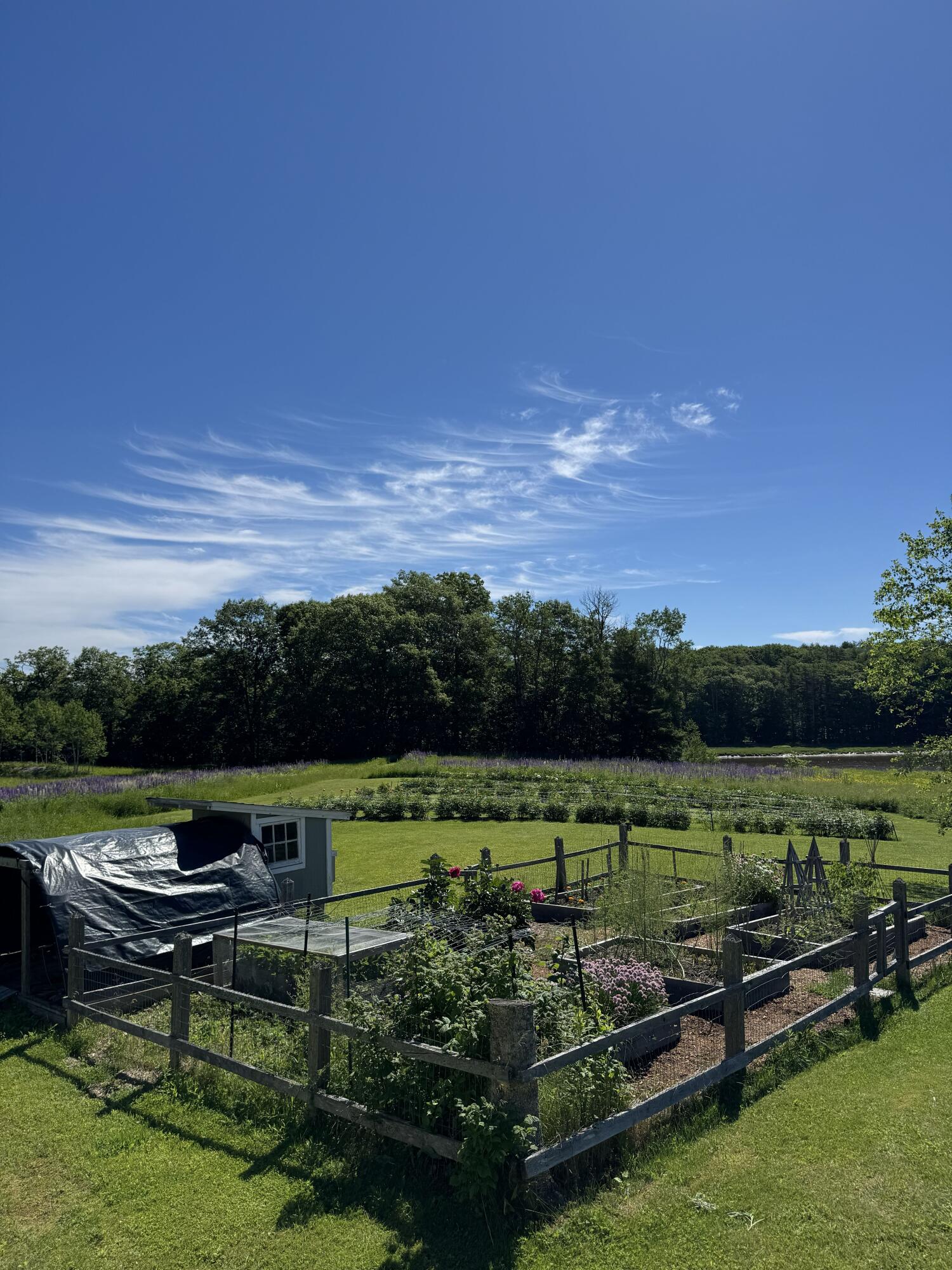 main property photo 99