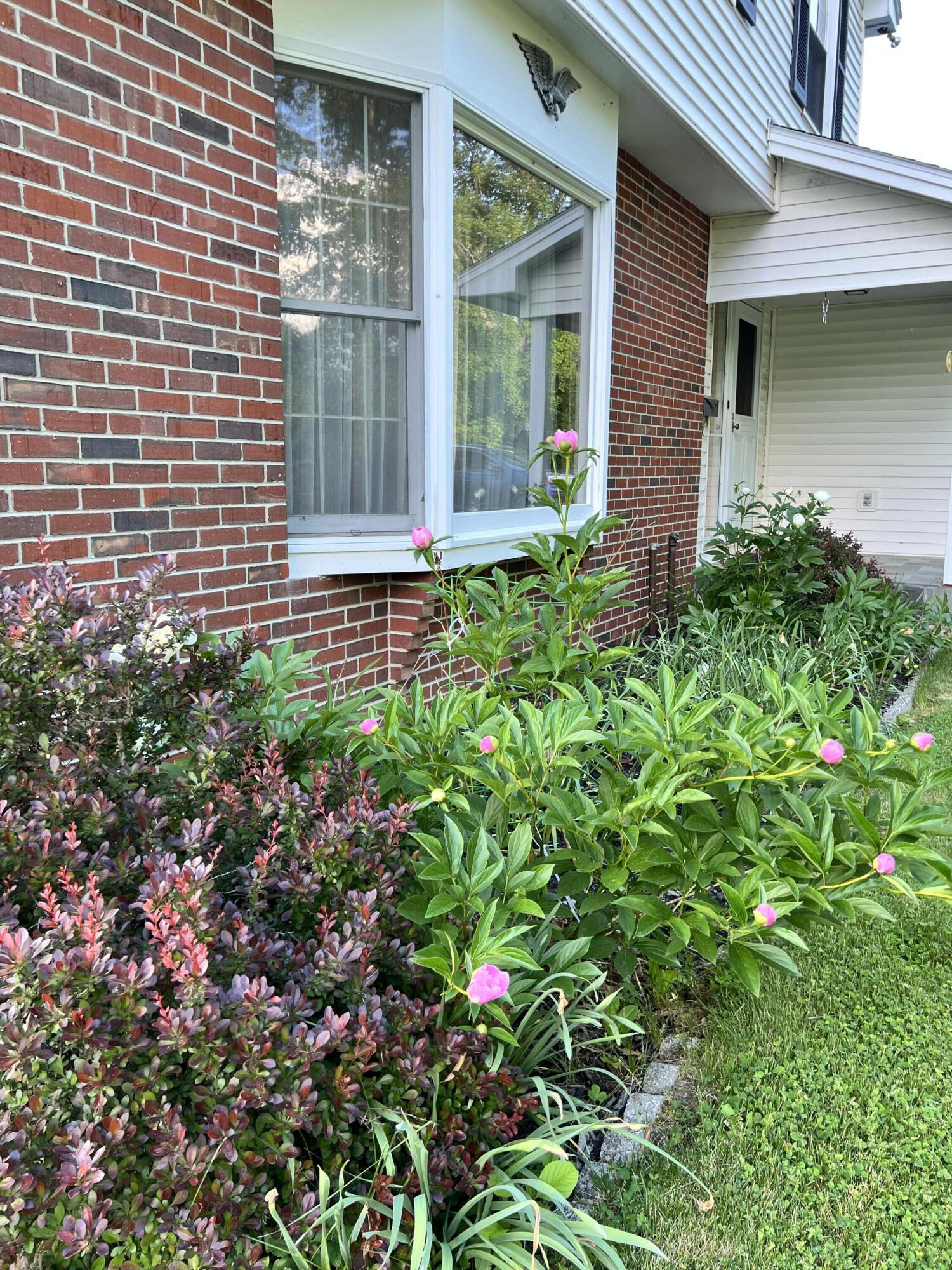 main property photo 46