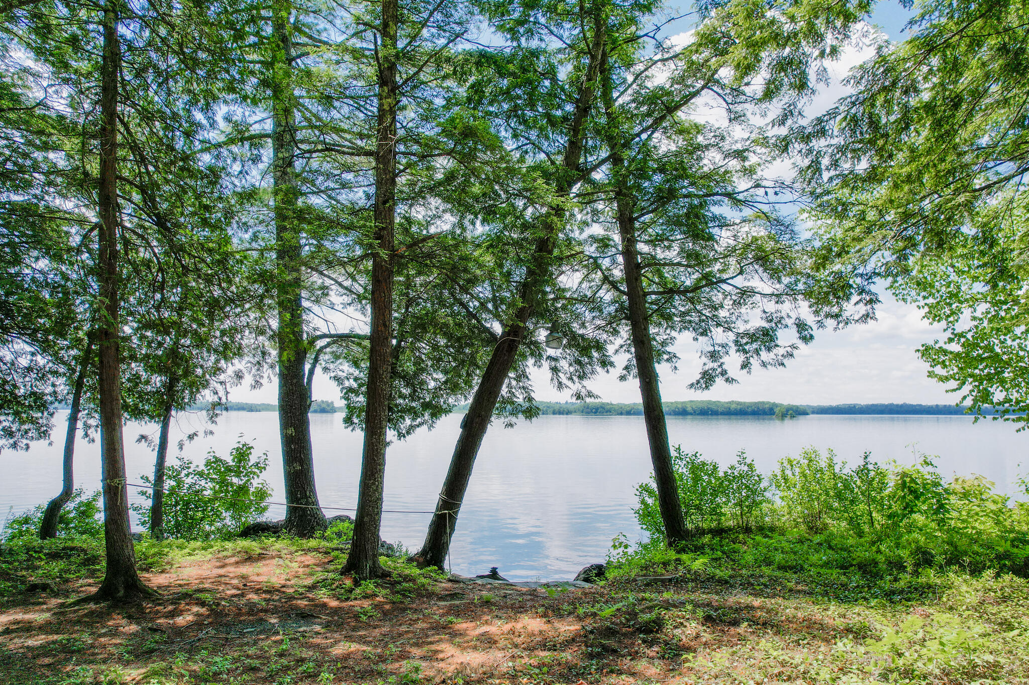 main property photo 64