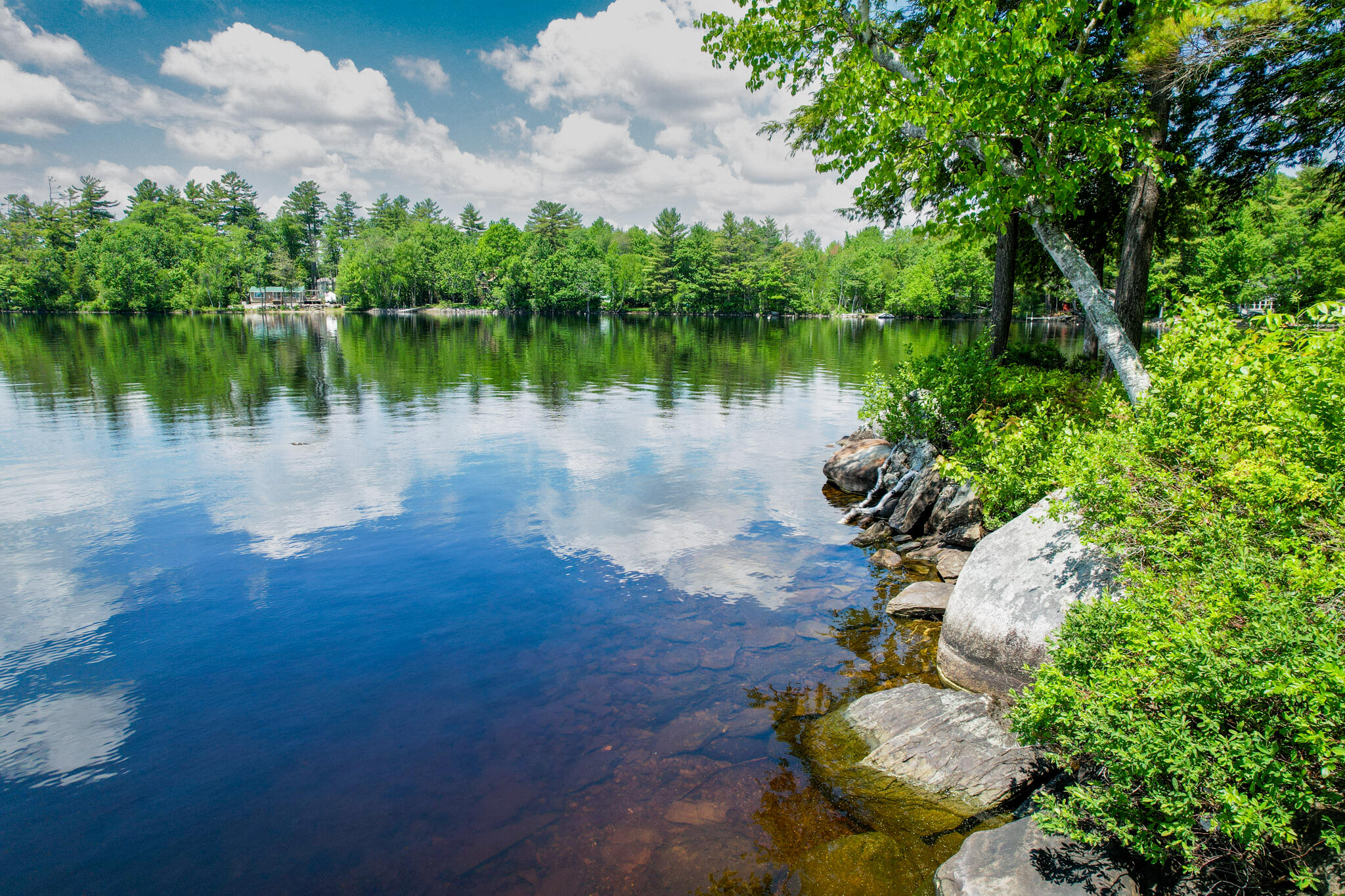 main property photo 65