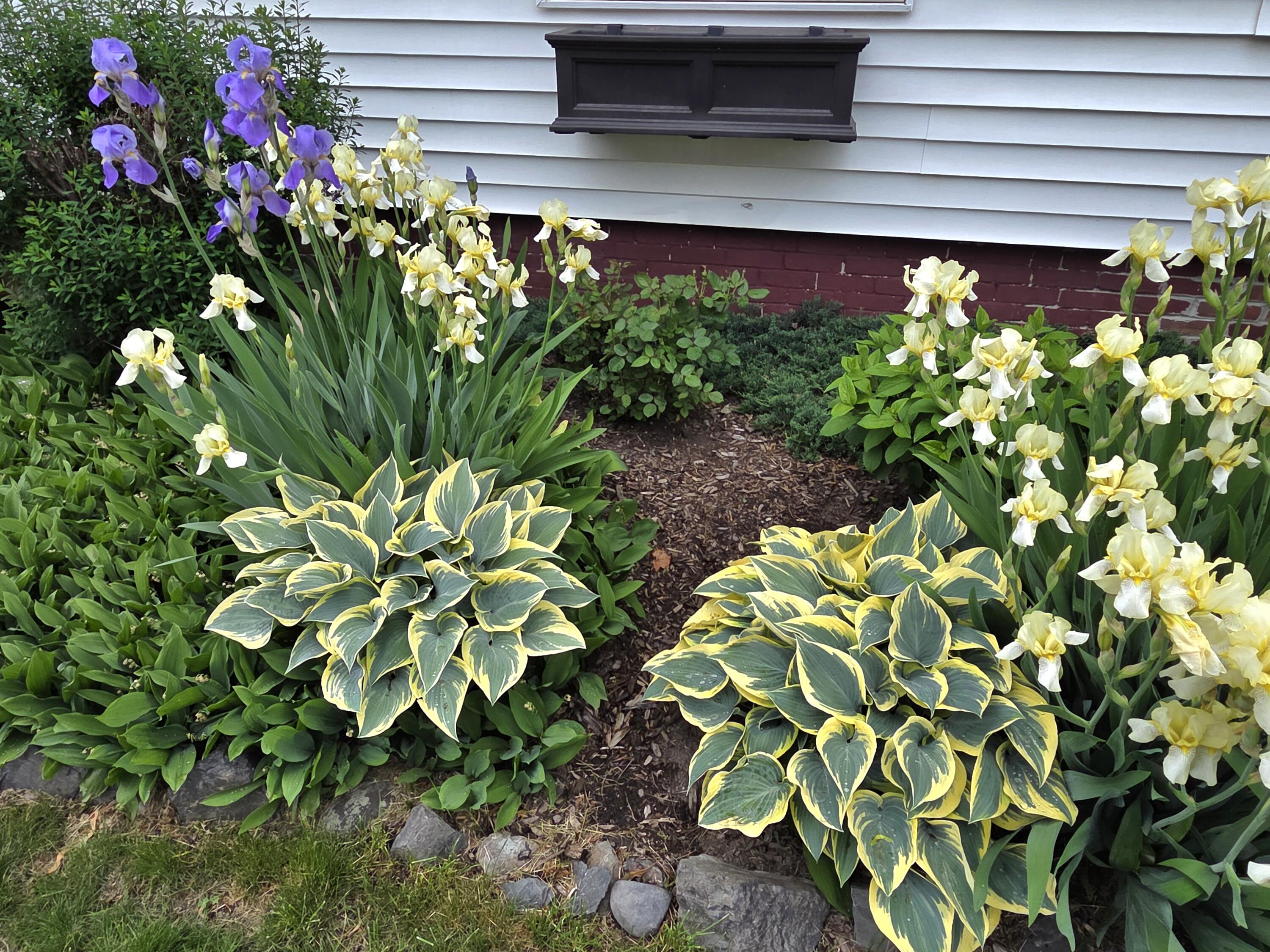 main property photo 28