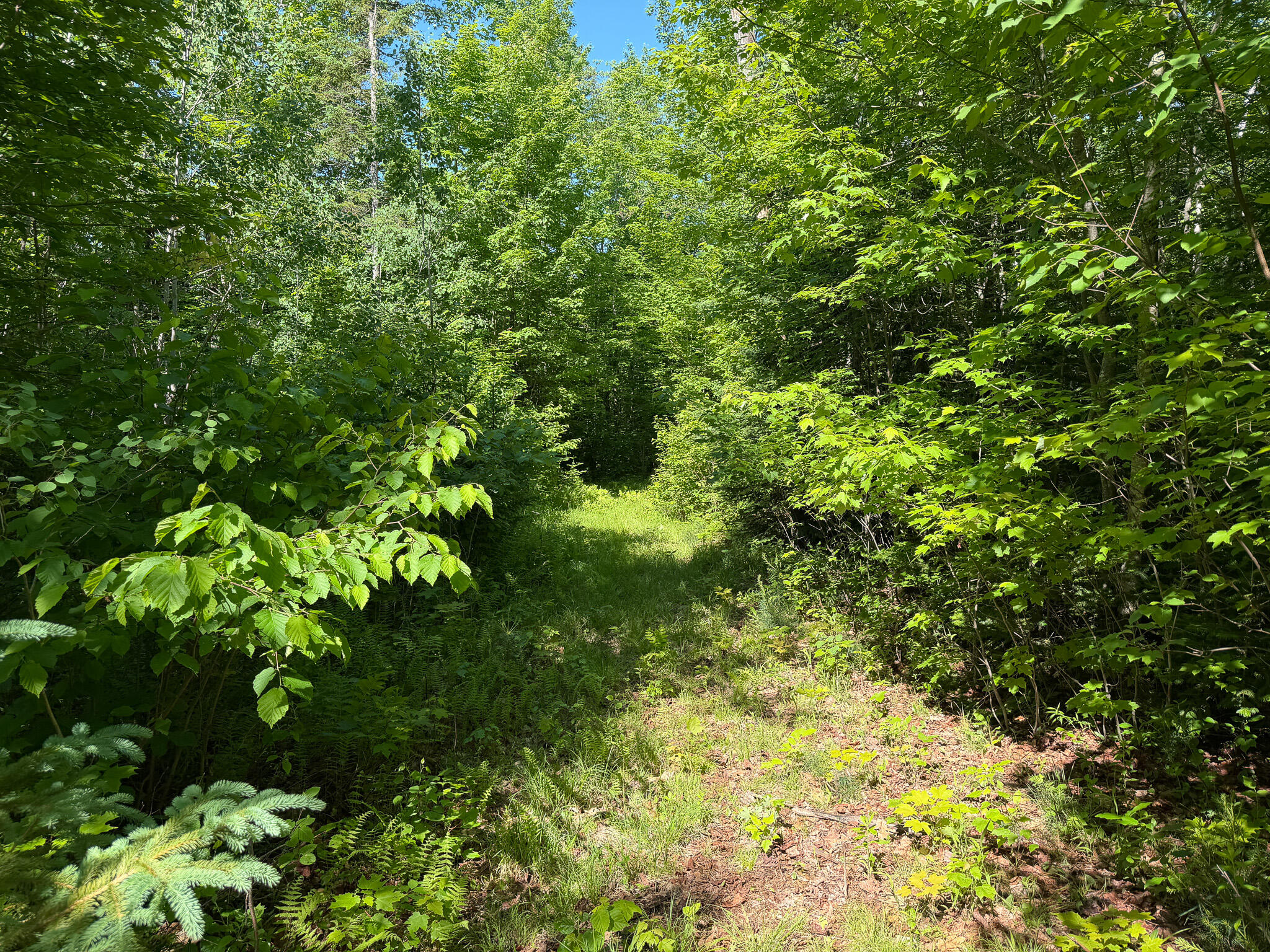 main property photo 11