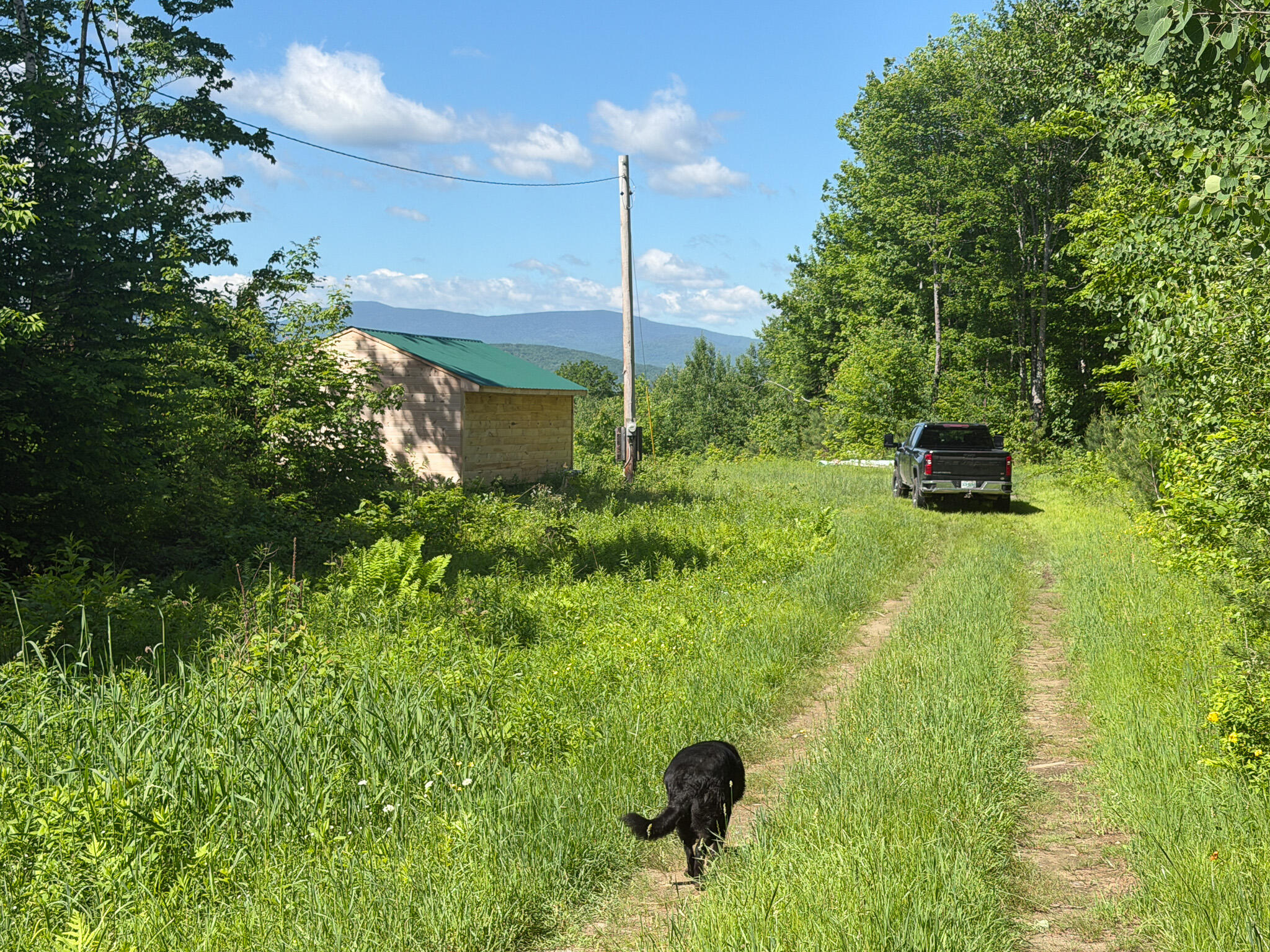 main property photo 17