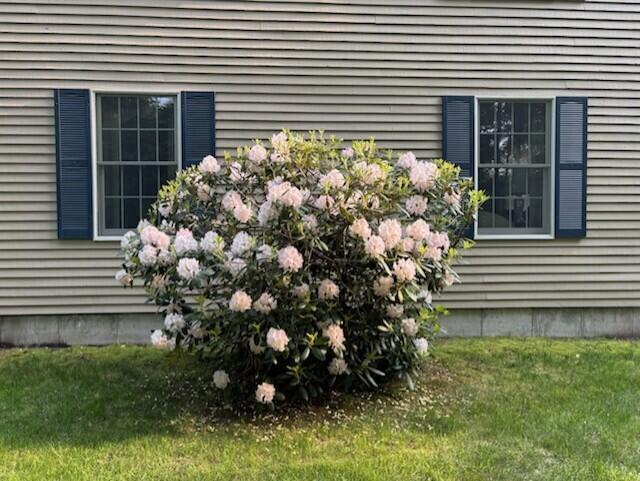 main property photo 57