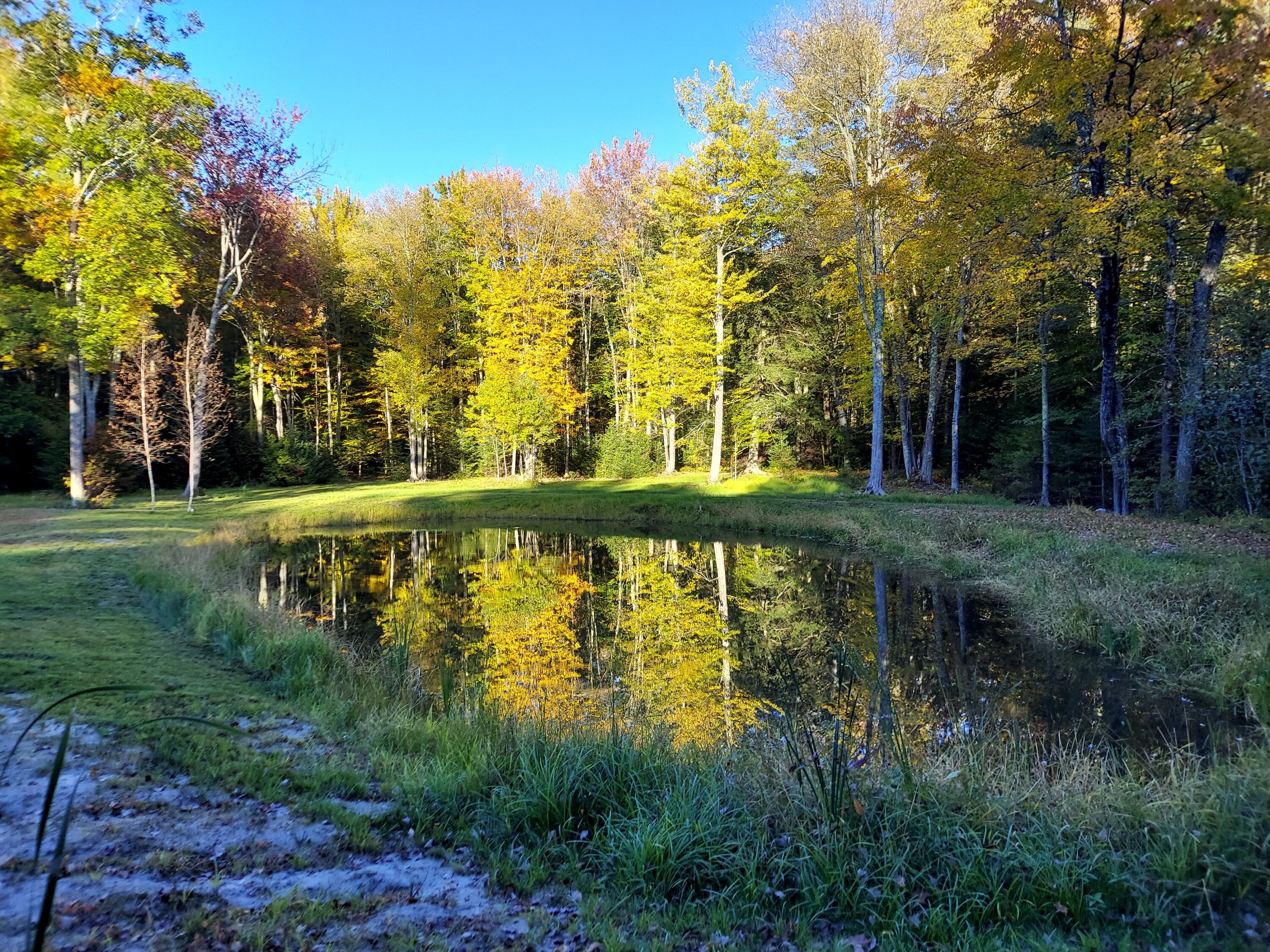 main property photo 41