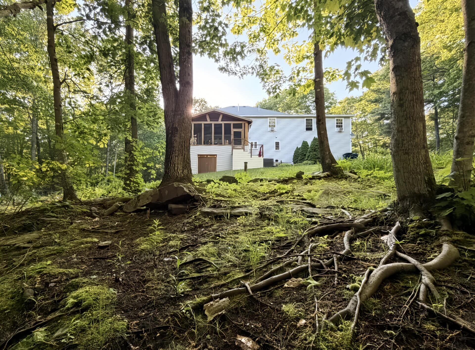 main property photo 49
