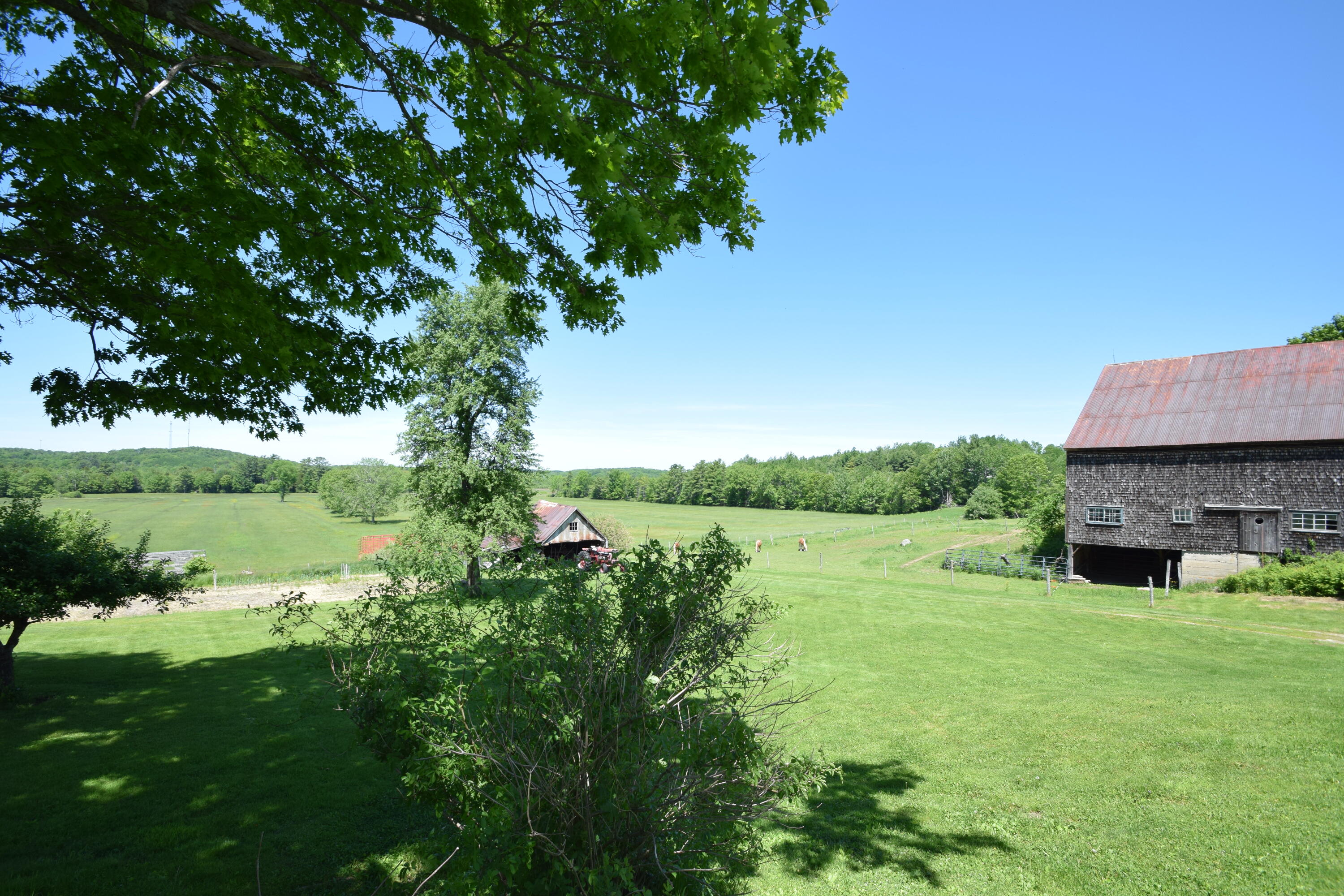 main property photo 19