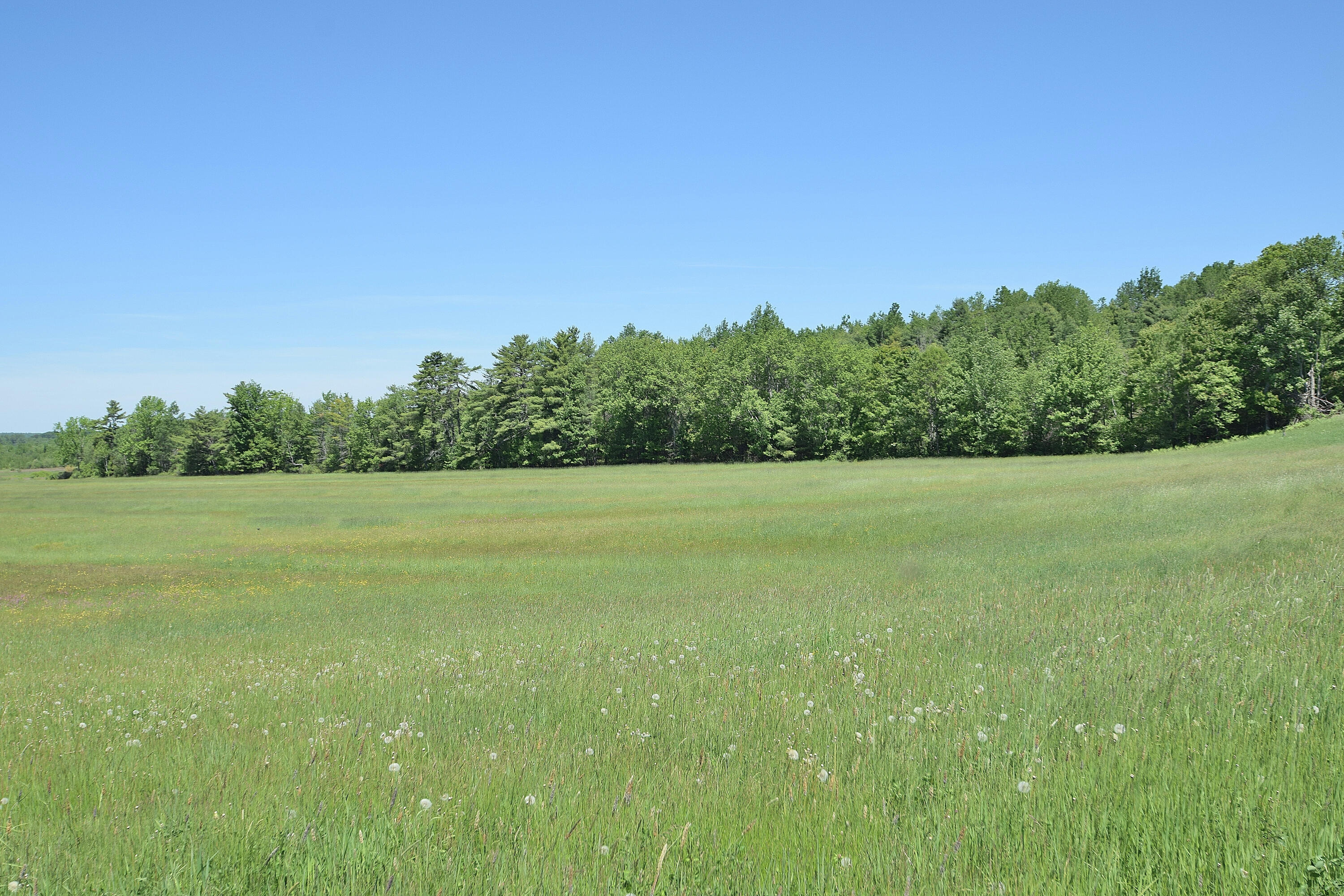 main property photo 90