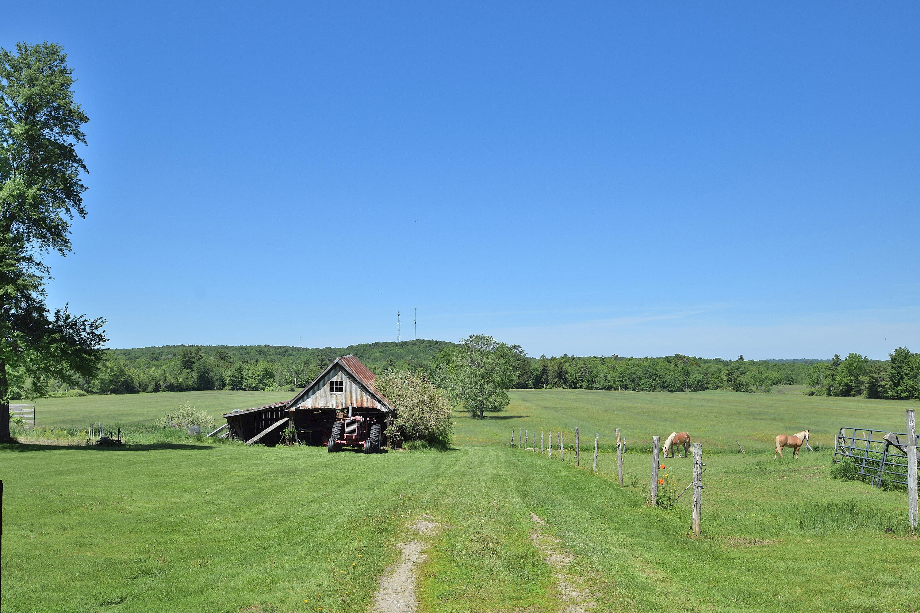 main property photo 97