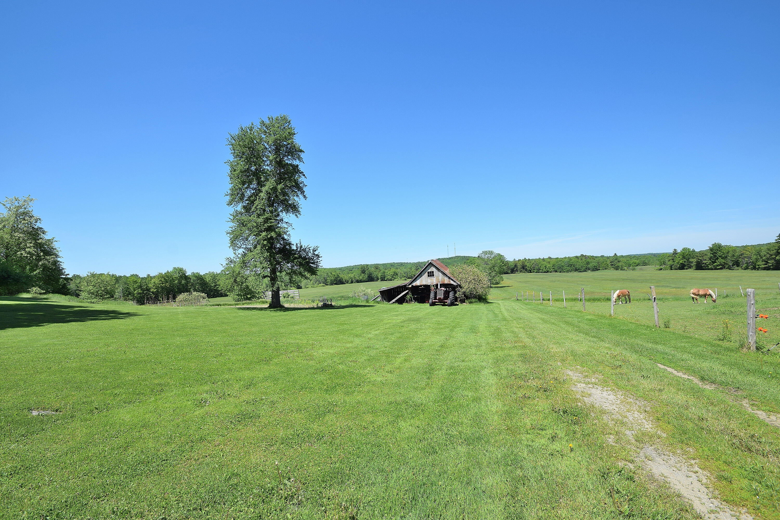 main property photo 98