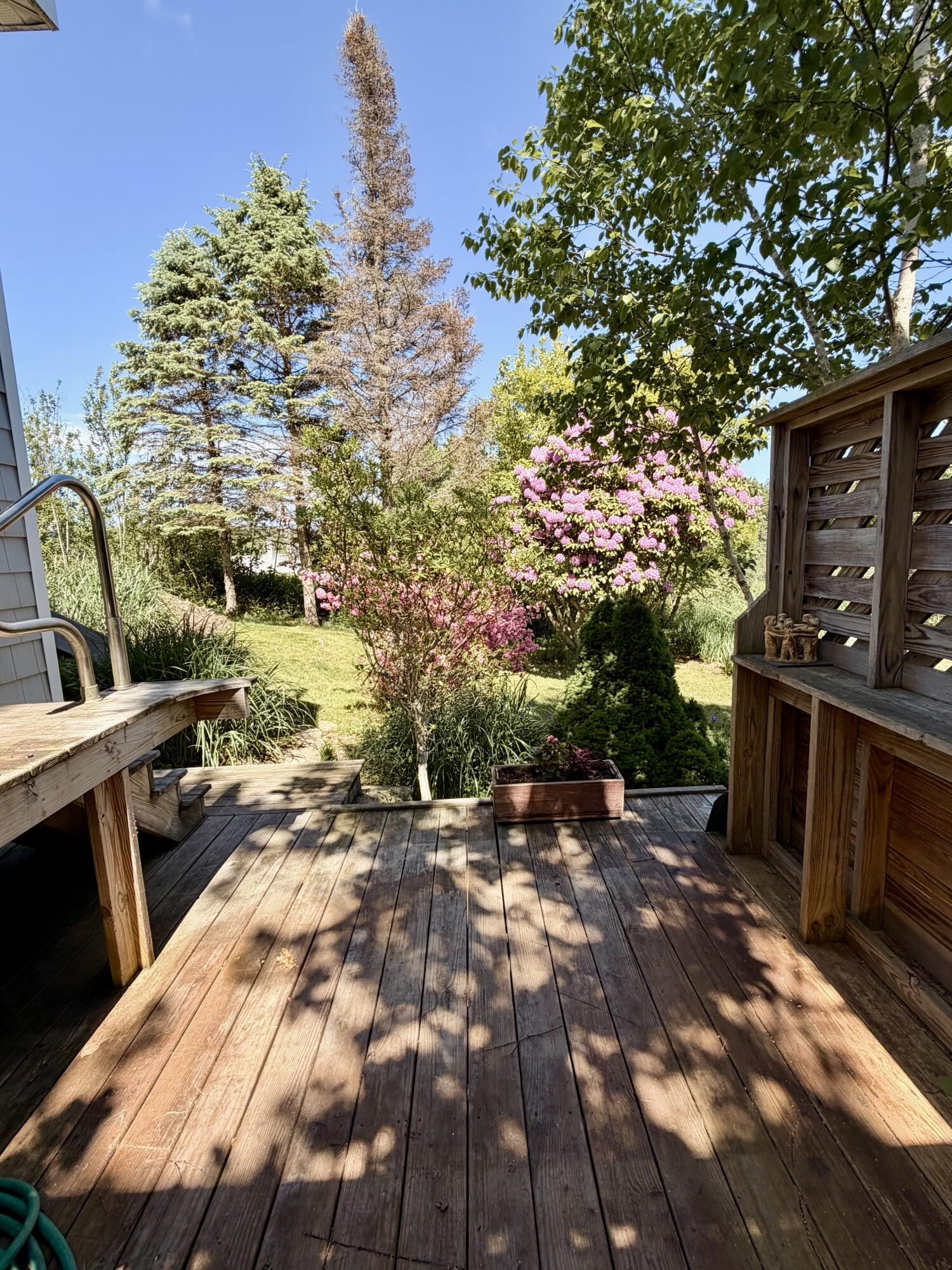 main property photo 37