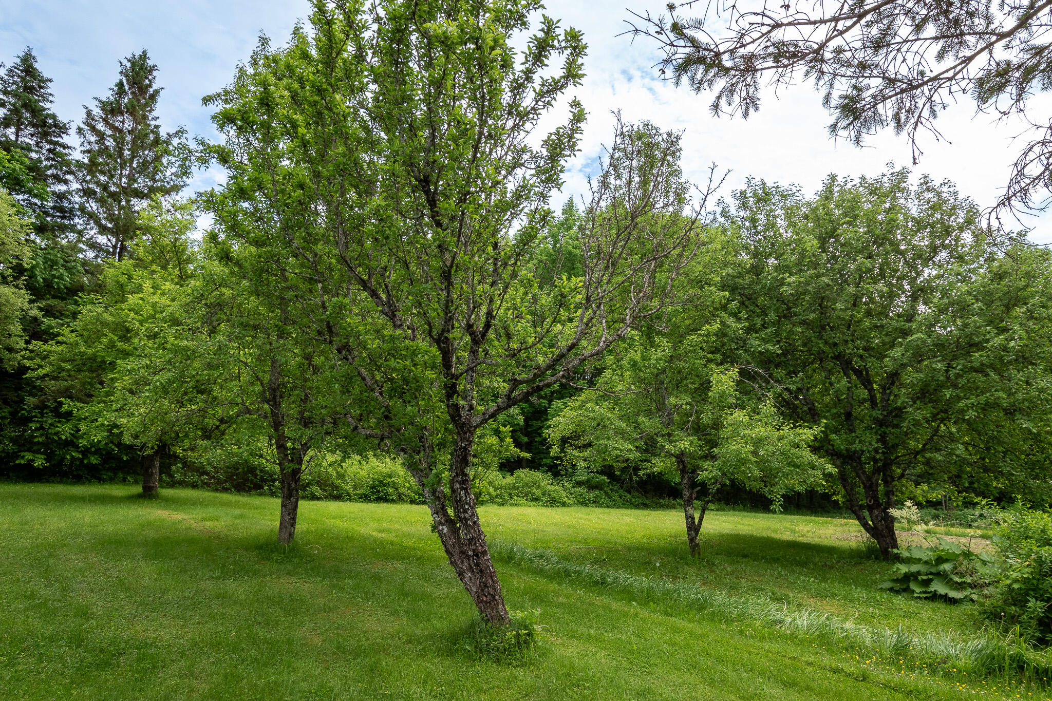 main property photo 68