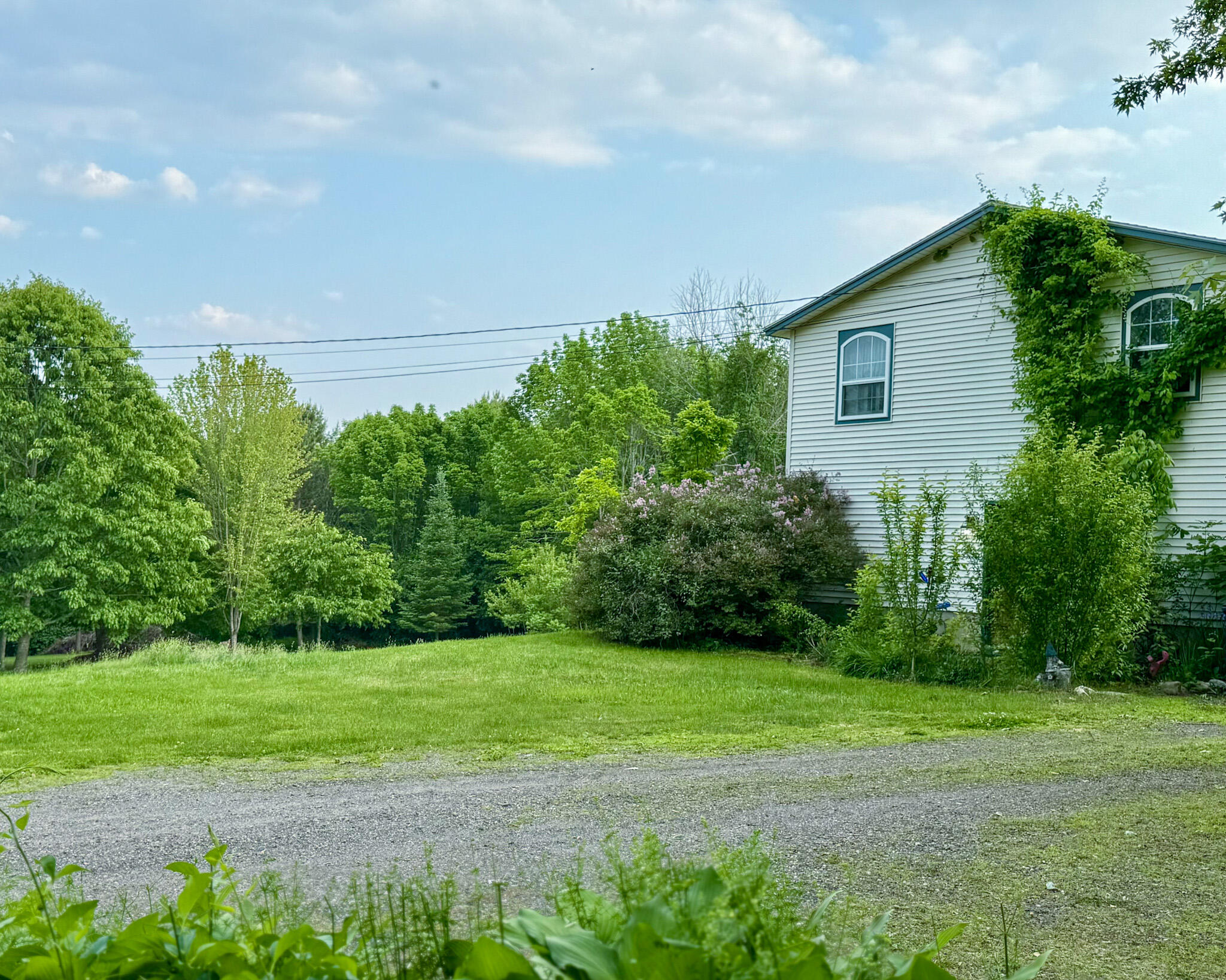 main property photo 58