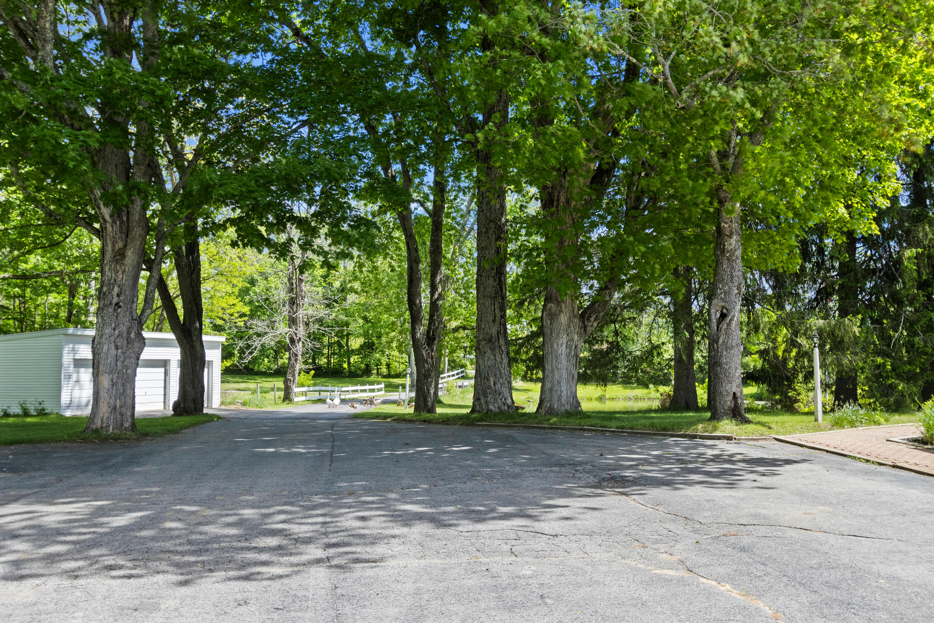 main property photo 69