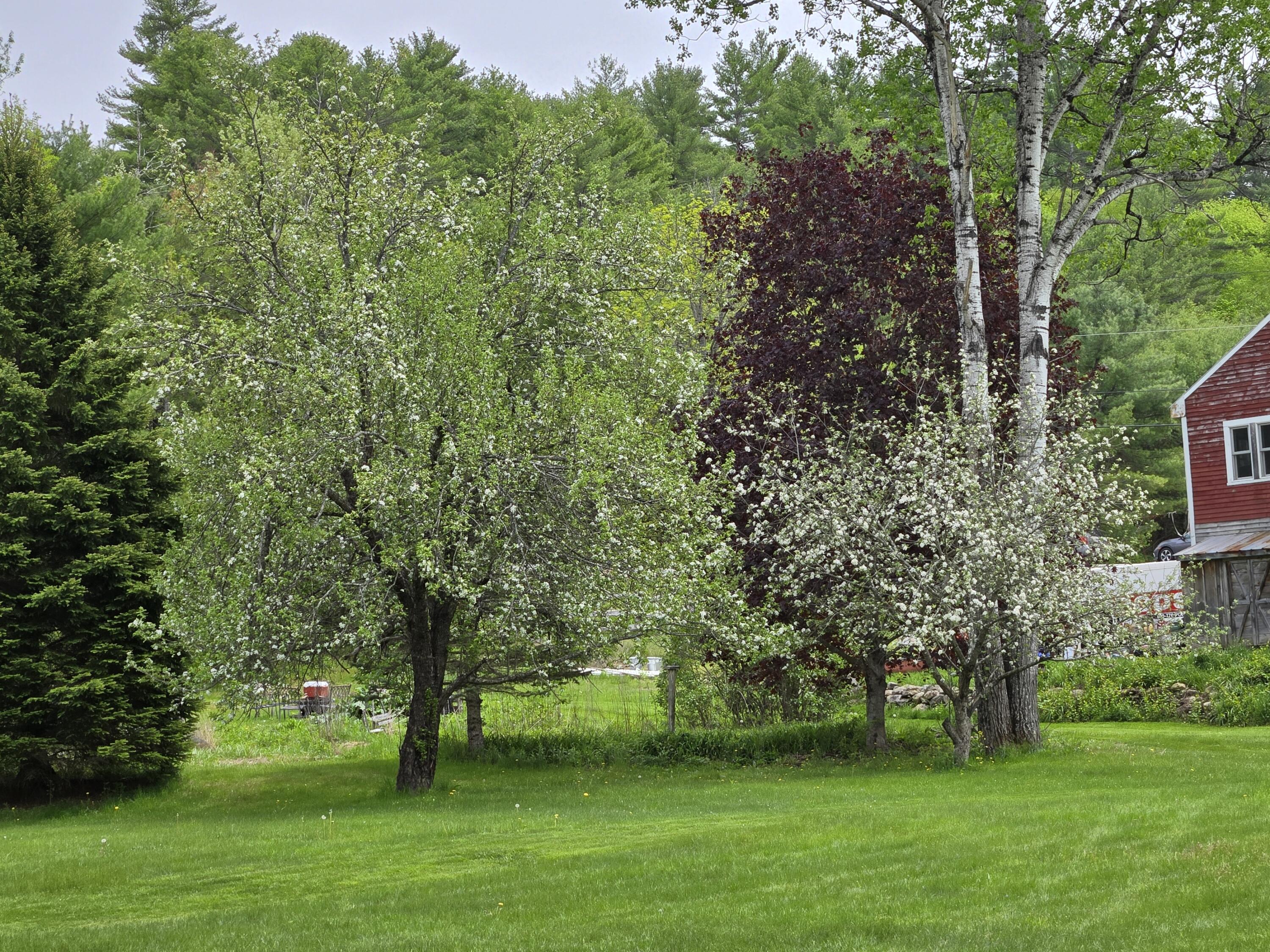 main property photo 51