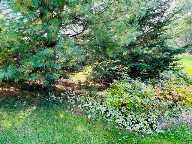 main property photo 35