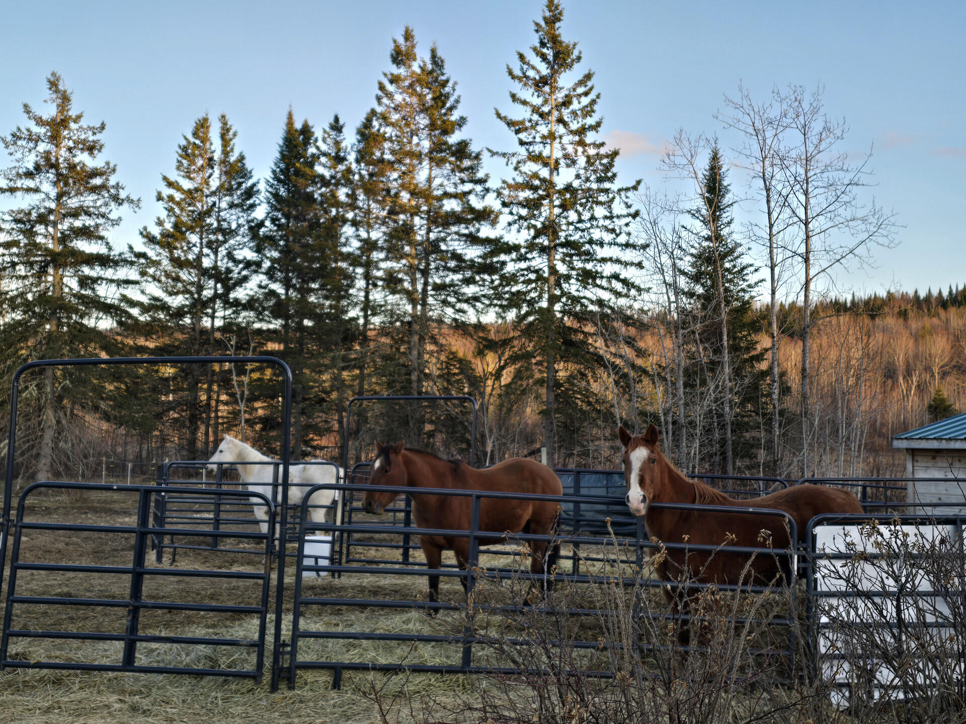 main property photo 36