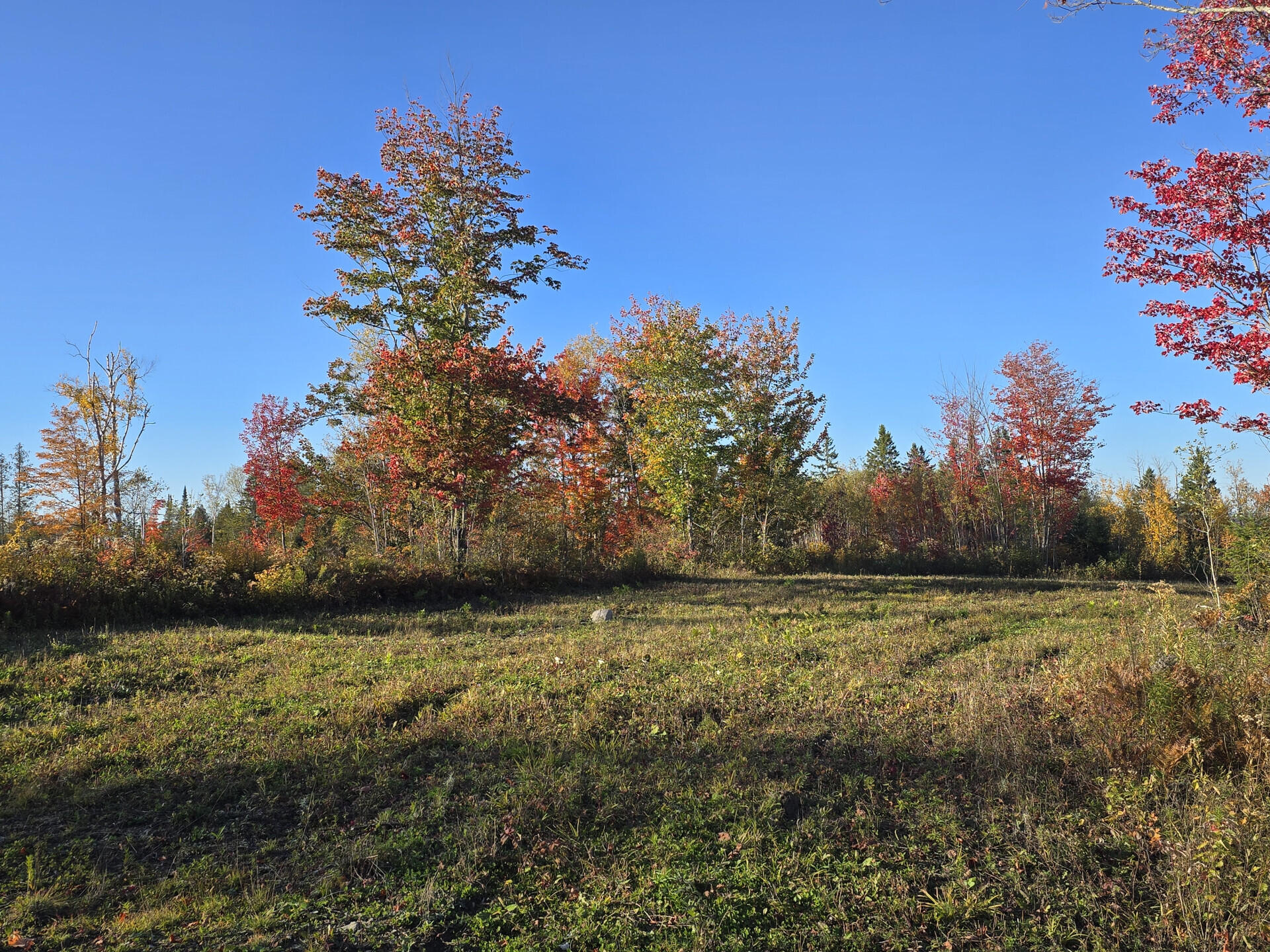 main property photo 45