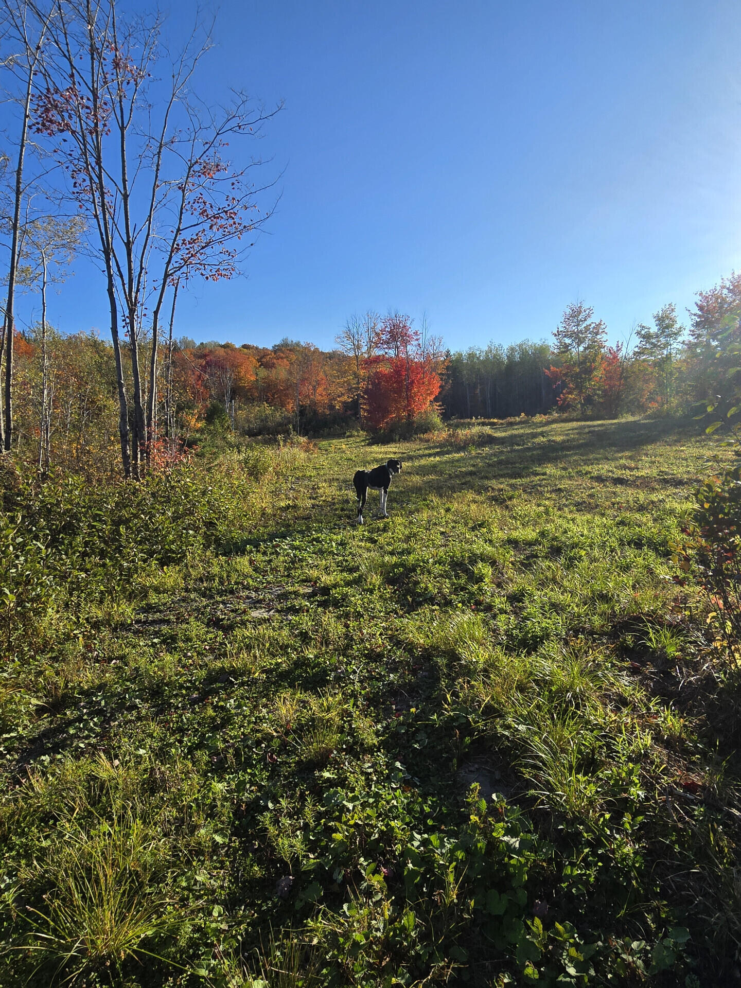 main property photo 48