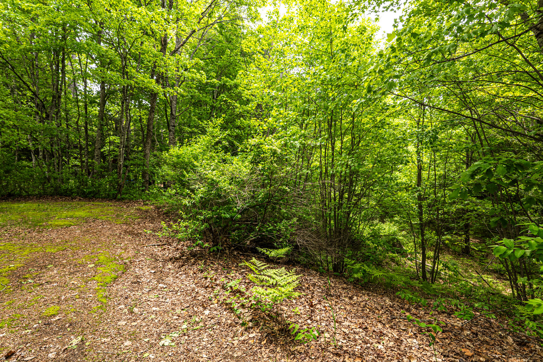 main property photo 47