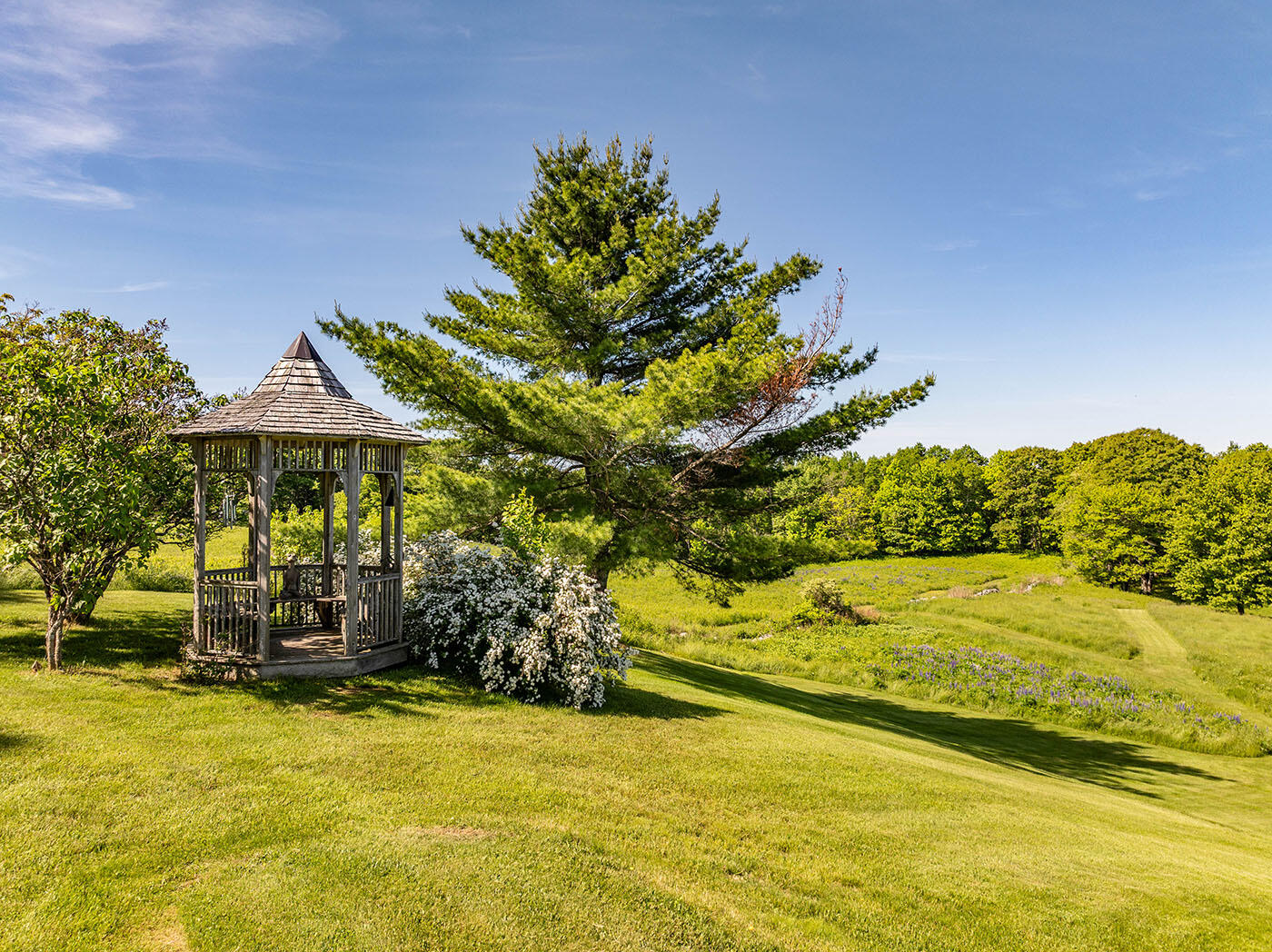 main property photo 52