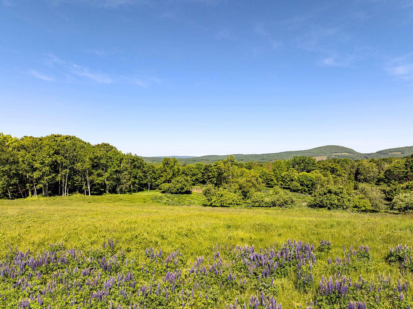main property photo 62
