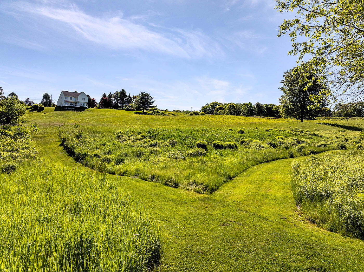 main property photo 63