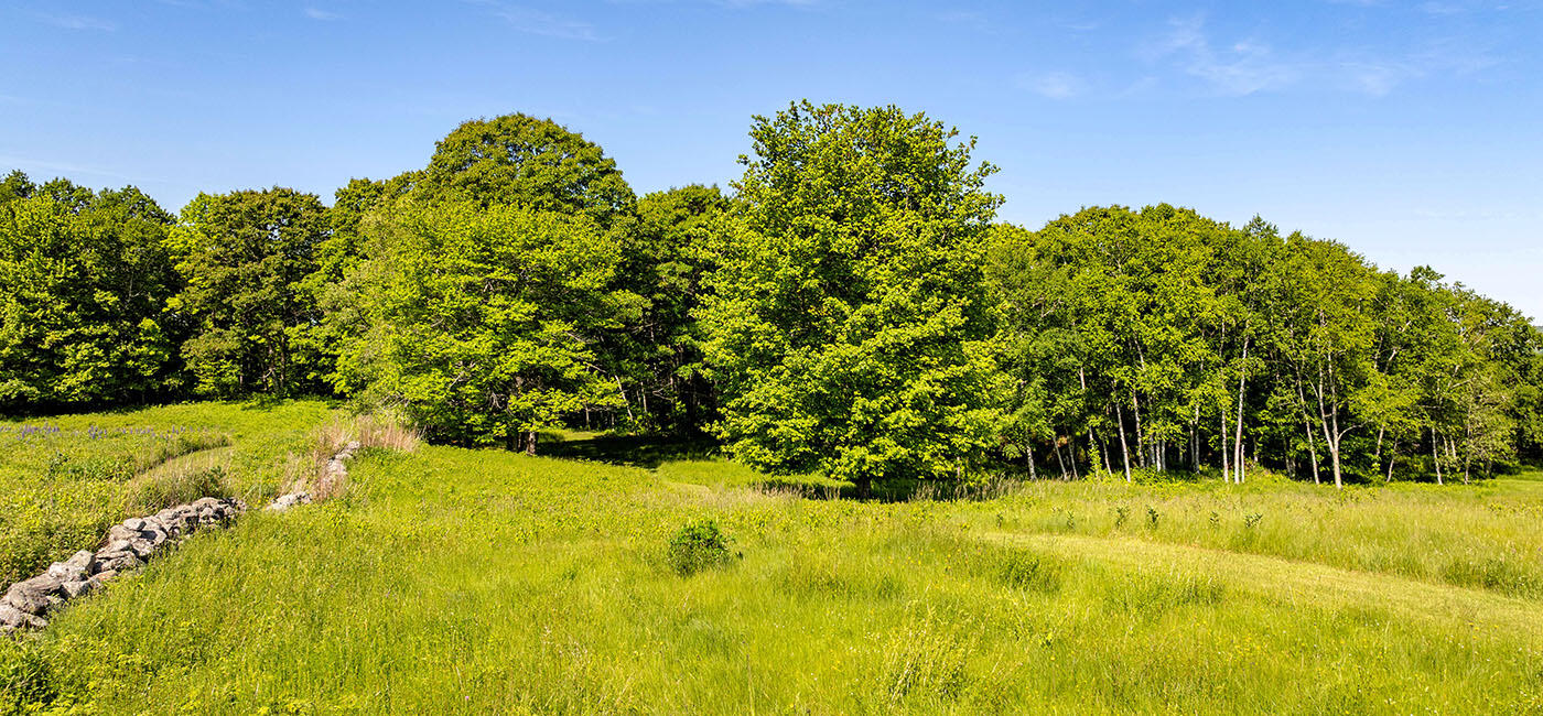 main property photo 64