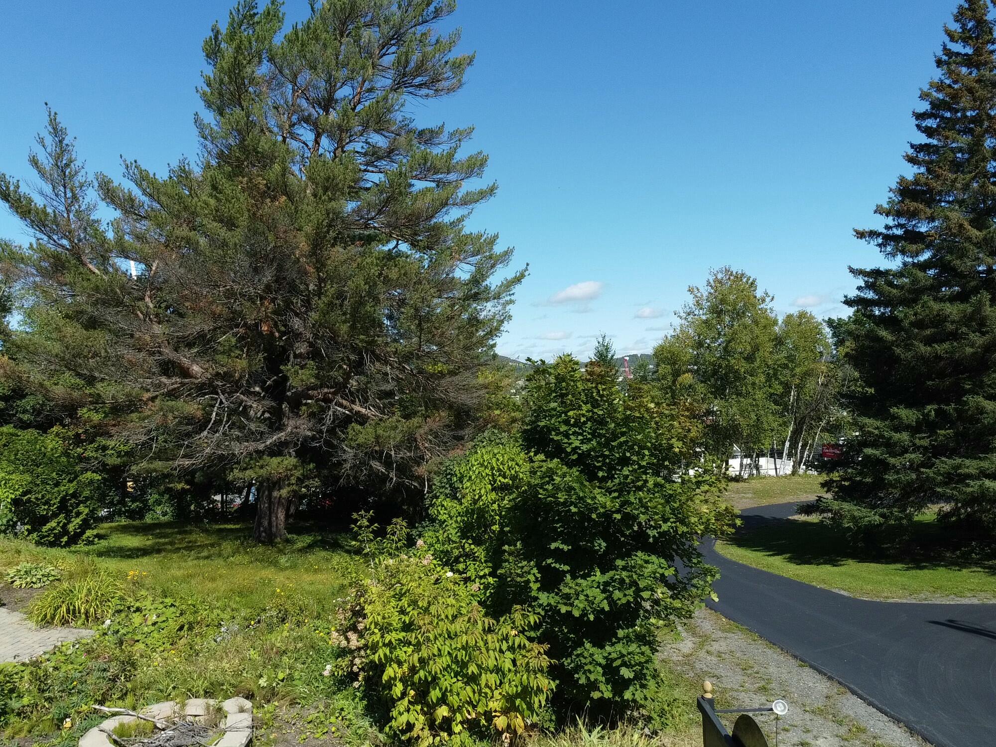 main property photo 153