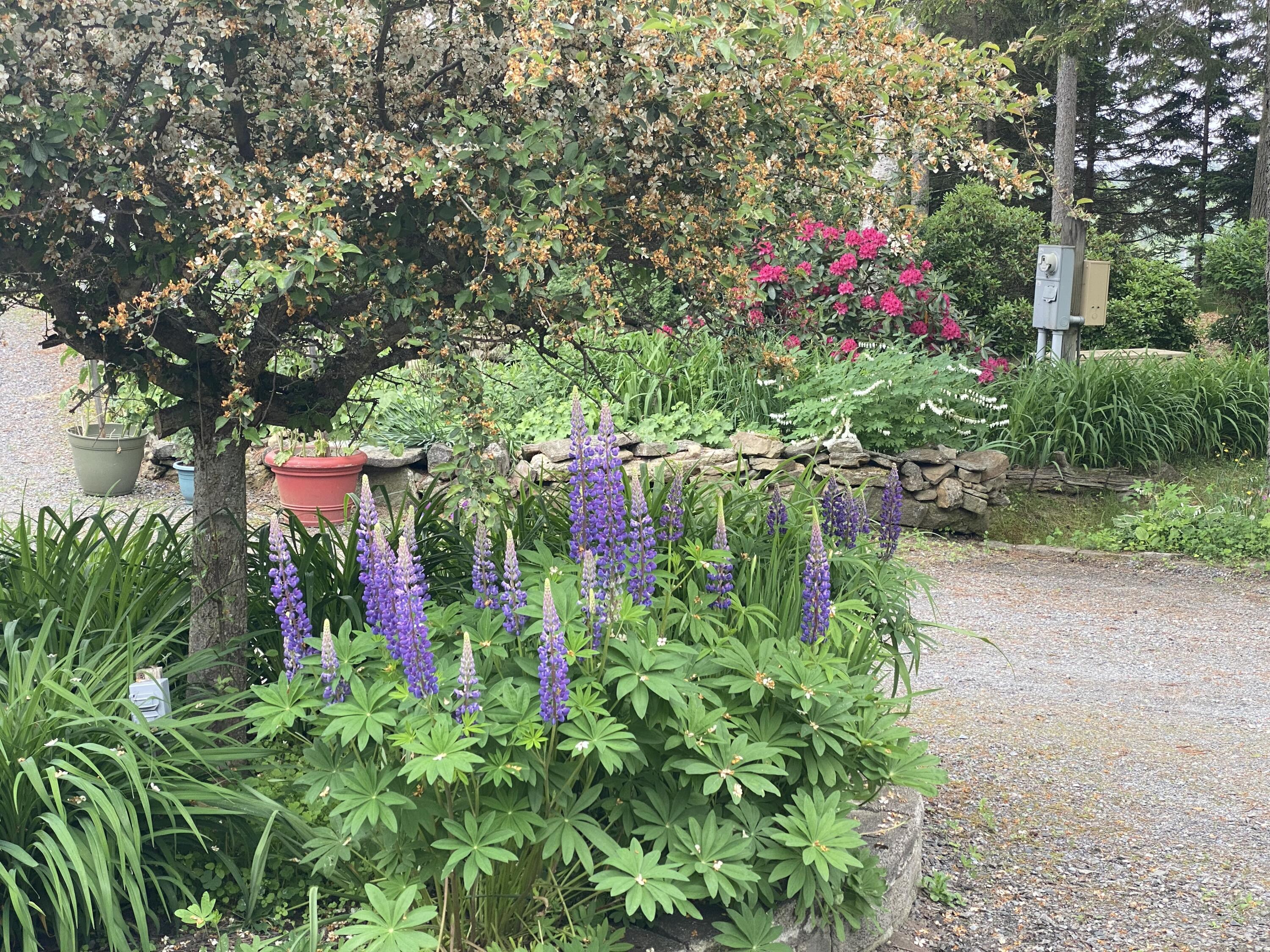 main property photo 62