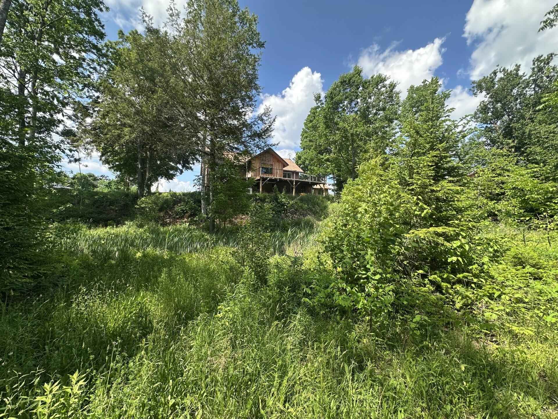 main property photo 54
